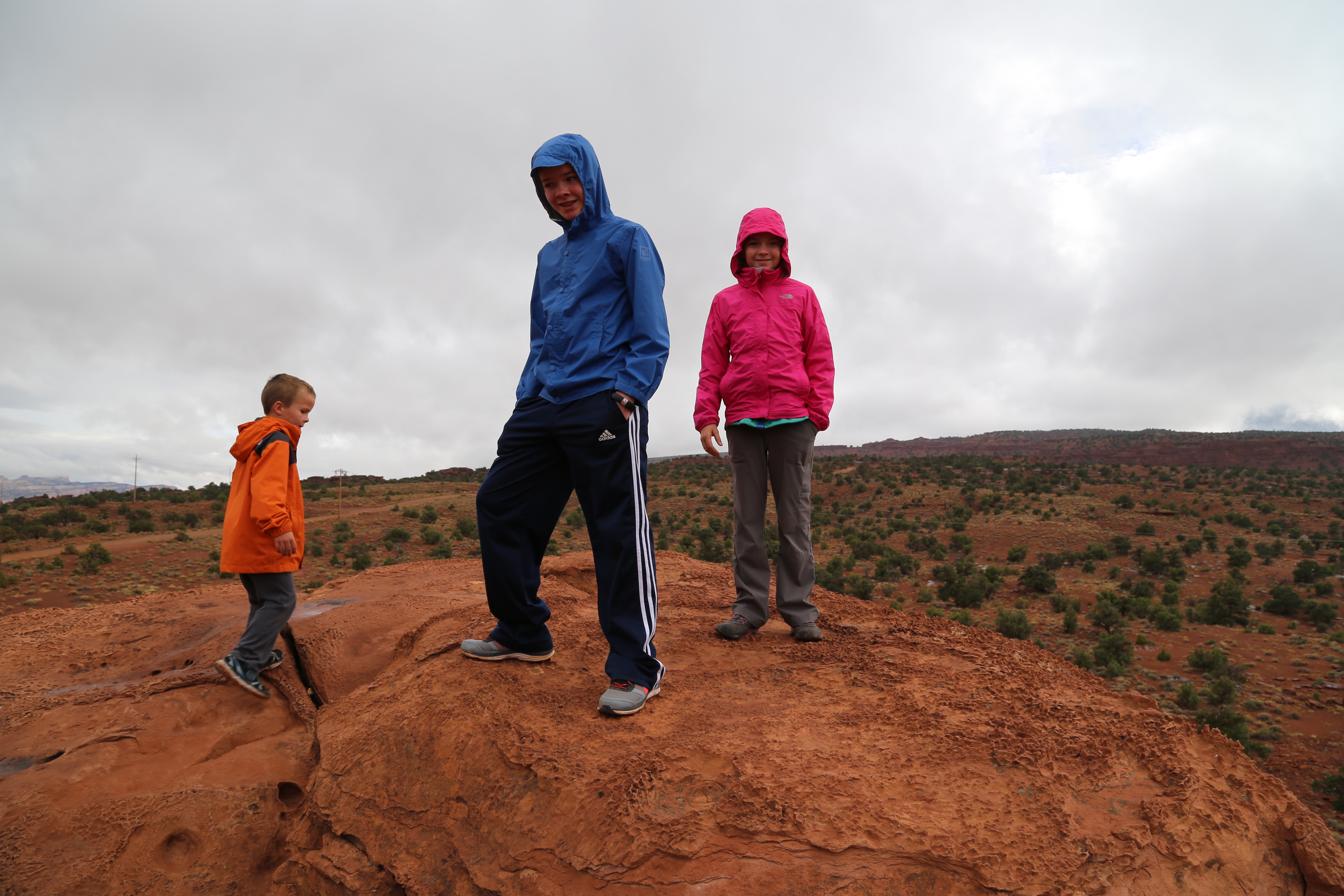 2015 Fall Break - Day 3 - Capitol Reef National Park (Gifford House Pies, Hickman Bridge Arch, Snakes Alive!, Picking Apples in the Fruita Pioneer Orchards, Goosenecks Overlook, Panorama Point), Eating Rattlesnakes at Cafe Diablo (Torrey, Utah)