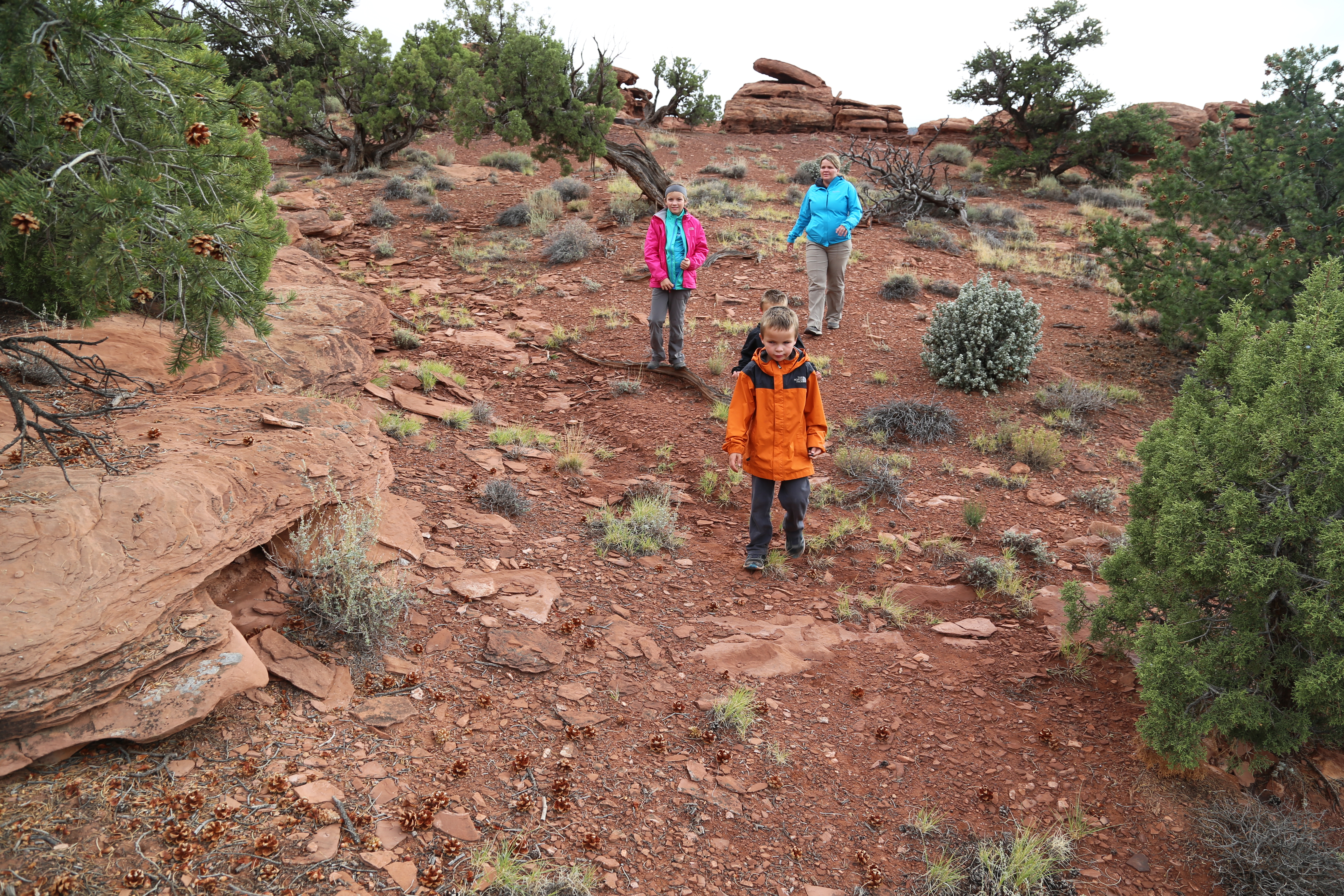 2015 Fall Break - Day 3 - Capitol Reef National Park (Gifford House Pies, Hickman Bridge Arch, Snakes Alive!, Picking Apples in the Fruita Pioneer Orchards, Goosenecks Overlook, Panorama Point), Eating Rattlesnakes at Cafe Diablo (Torrey, Utah)