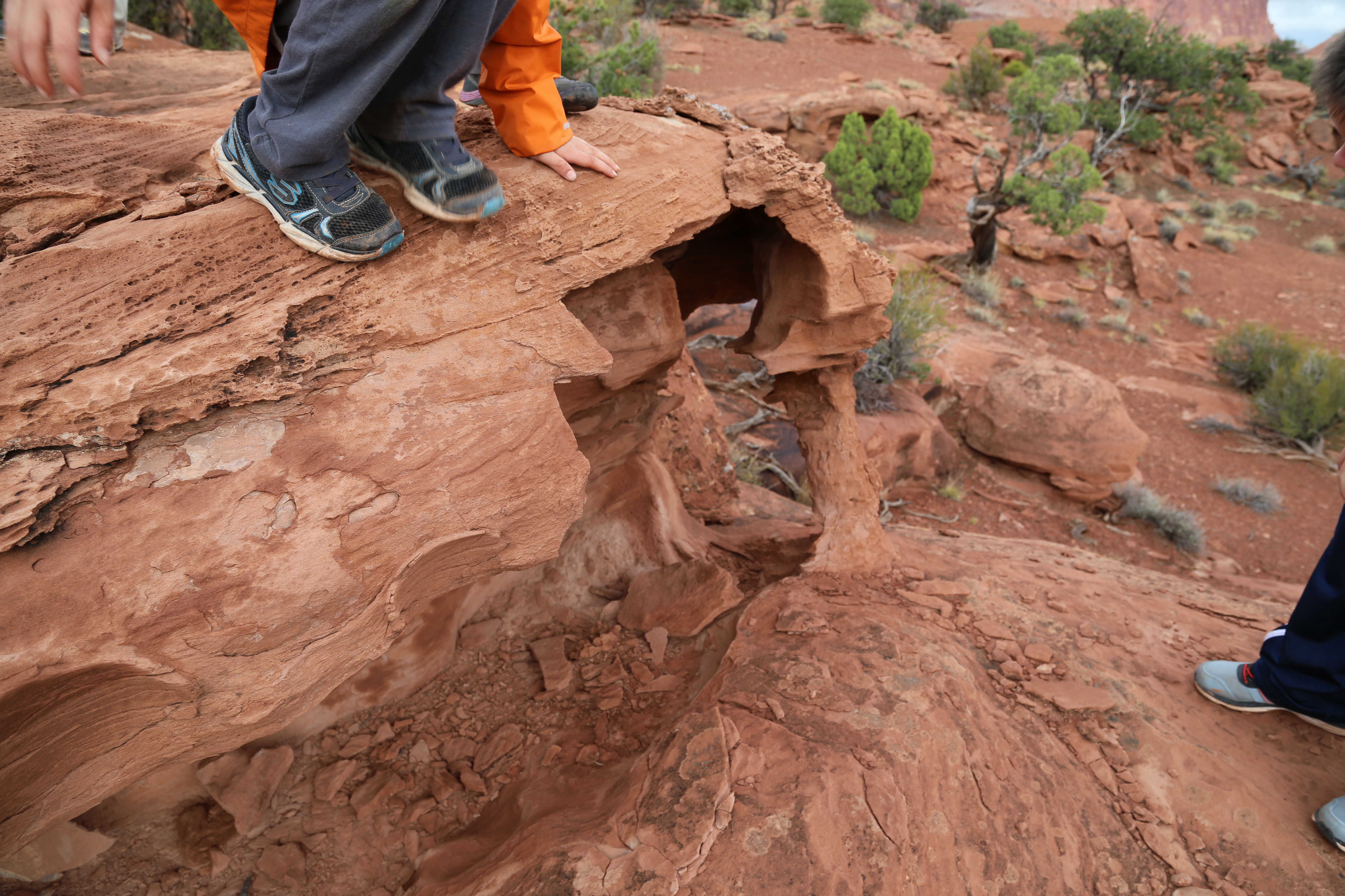 2015 Fall Break - Day 3 - Capitol Reef National Park (Gifford House Pies, Hickman Bridge Arch, Snakes Alive!, Picking Apples in the Fruita Pioneer Orchards, Goosenecks Overlook, Panorama Point), Eating Rattlesnakes at Cafe Diablo (Torrey, Utah)