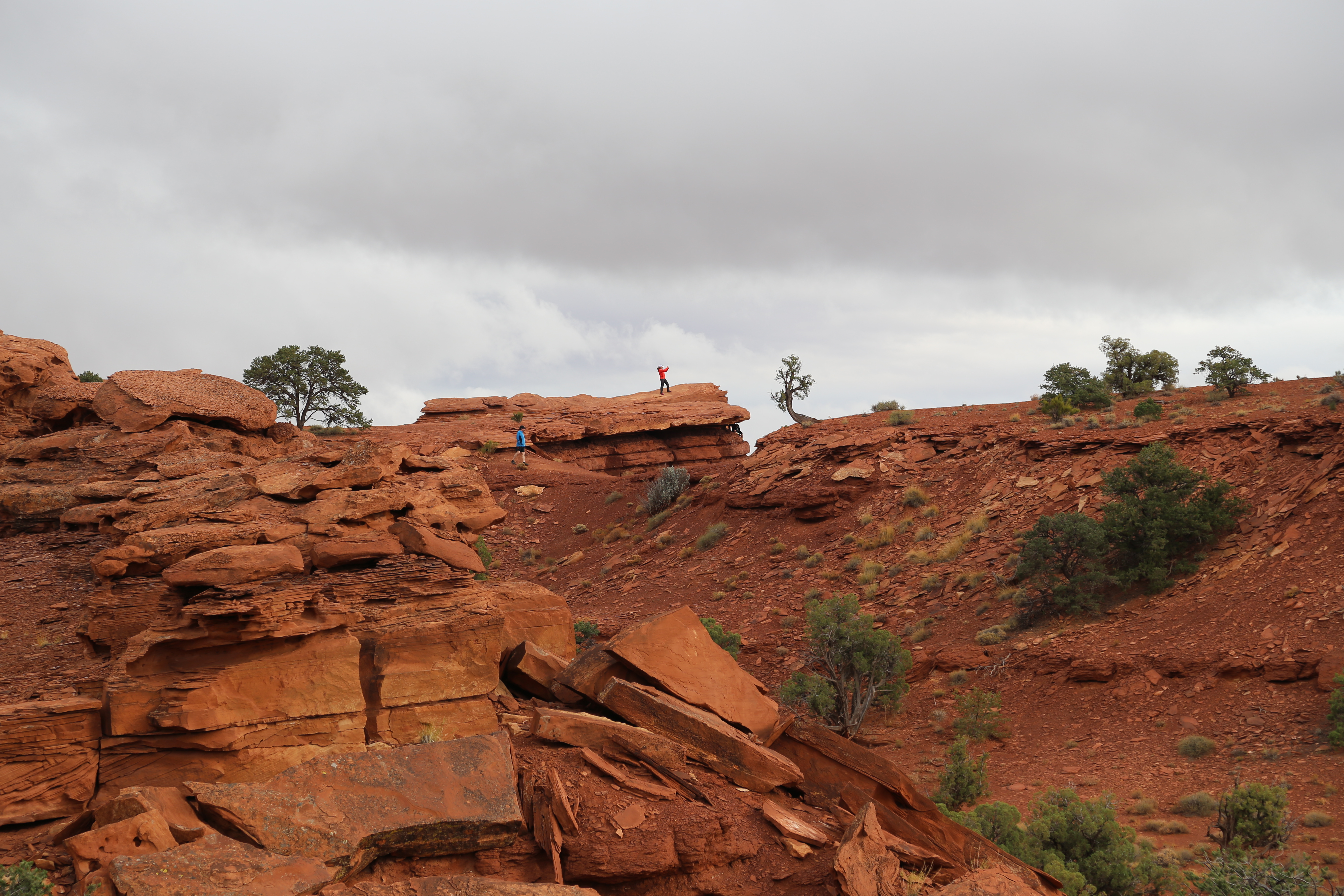 2015 Fall Break - Day 3 - Capitol Reef National Park (Gifford House Pies, Hickman Bridge Arch, Snakes Alive!, Picking Apples in the Fruita Pioneer Orchards, Goosenecks Overlook, Panorama Point), Eating Rattlesnakes at Cafe Diablo (Torrey, Utah)