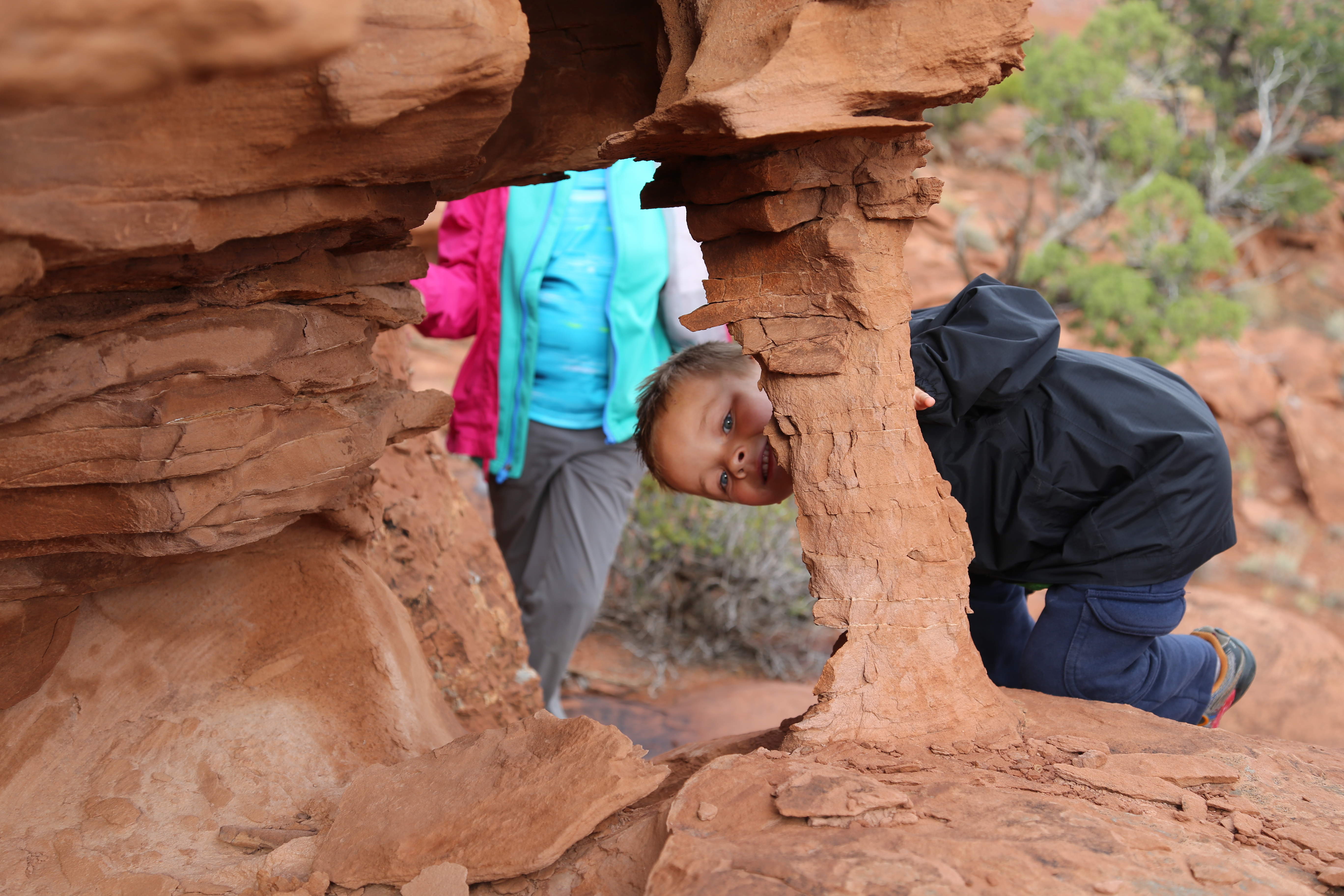 2015 Fall Break - Day 3 - Capitol Reef National Park (Gifford House Pies, Hickman Bridge Arch, Snakes Alive!, Picking Apples in the Fruita Pioneer Orchards, Goosenecks Overlook, Panorama Point), Eating Rattlesnakes at Cafe Diablo (Torrey, Utah)