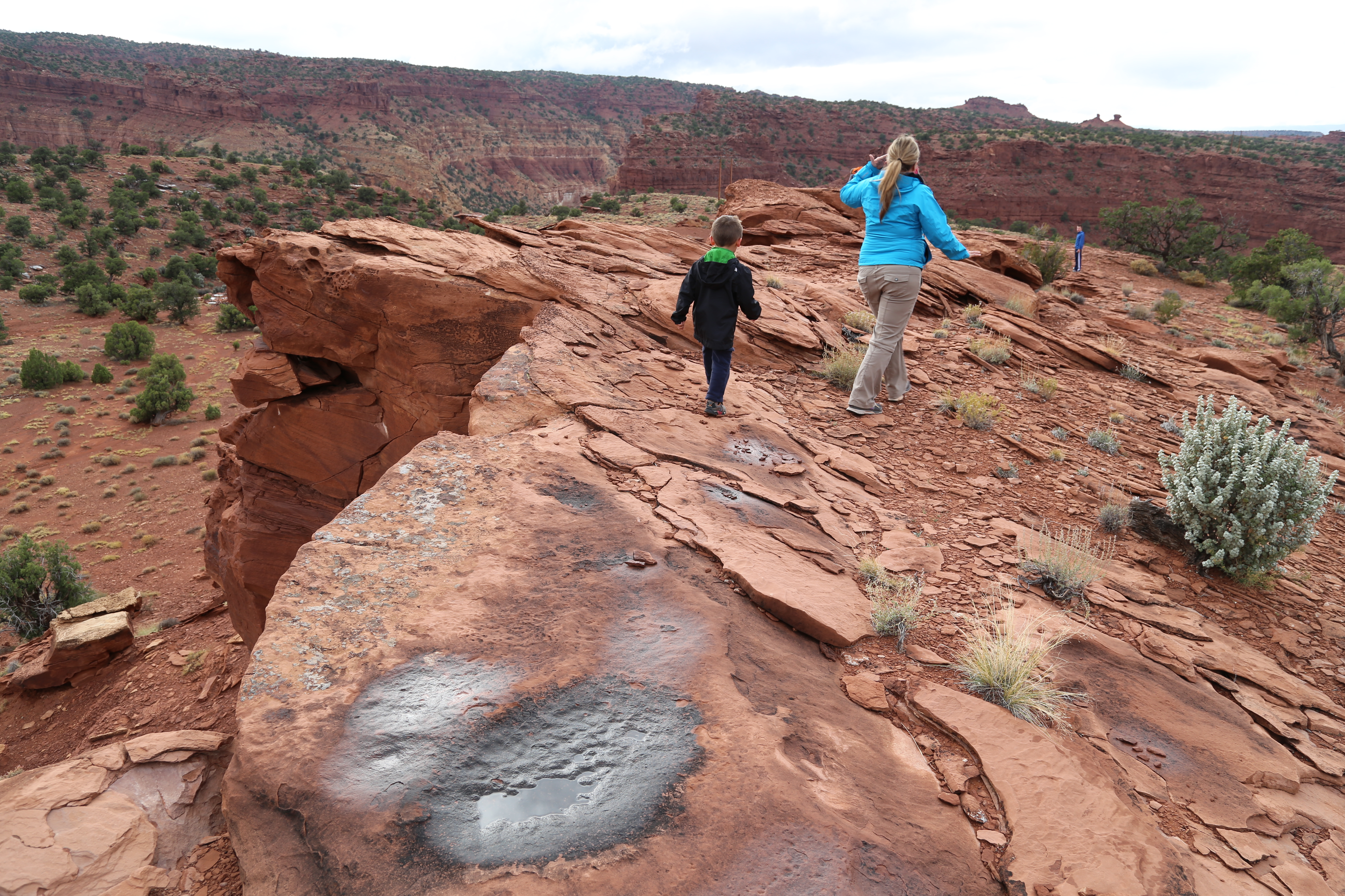 2015 Fall Break - Day 3 - Capitol Reef National Park (Gifford House Pies, Hickman Bridge Arch, Snakes Alive!, Picking Apples in the Fruita Pioneer Orchards, Goosenecks Overlook, Panorama Point), Eating Rattlesnakes at Cafe Diablo (Torrey, Utah)