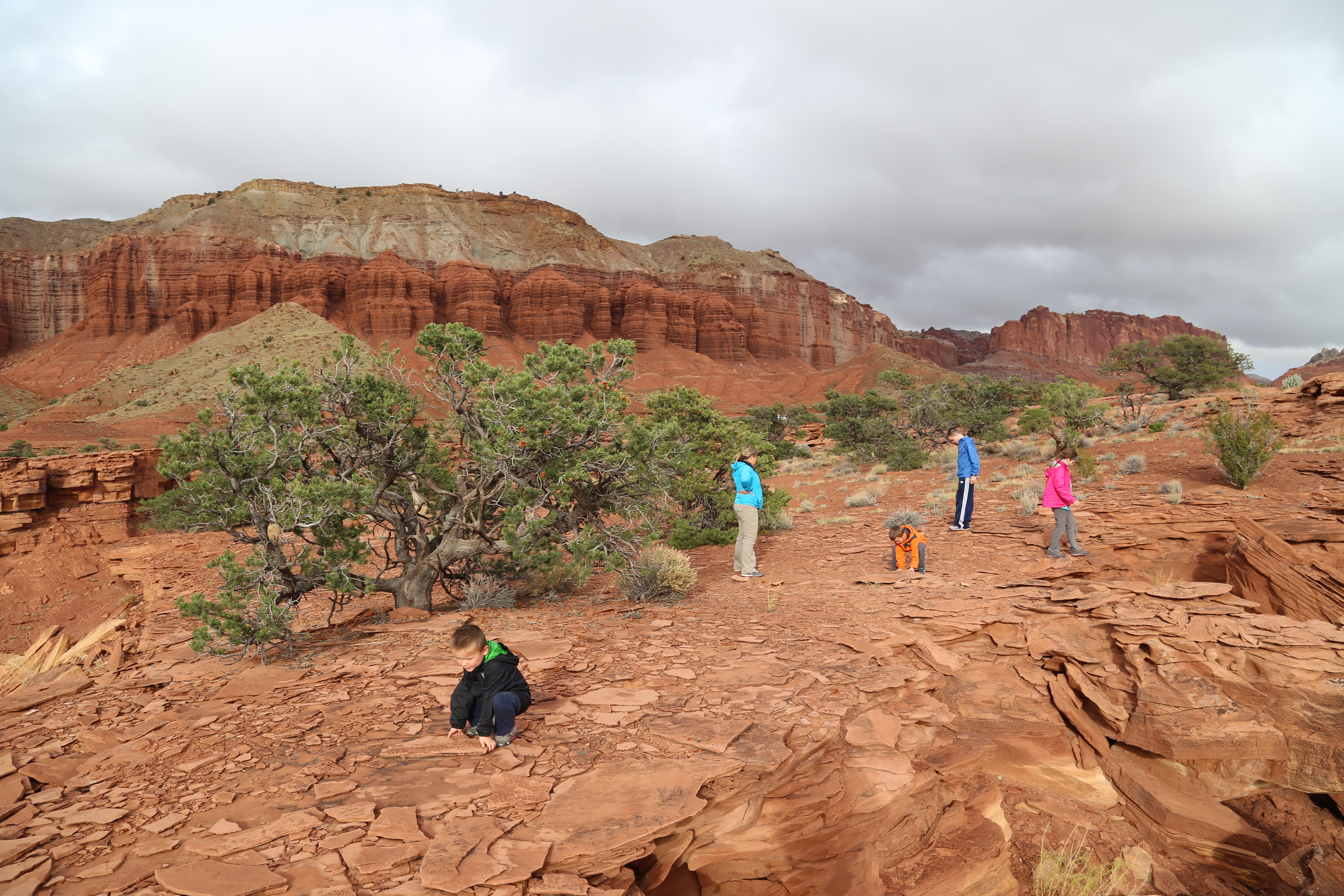 2015 Fall Break - Day 3 - Capitol Reef National Park (Gifford House Pies, Hickman Bridge Arch, Snakes Alive!, Picking Apples in the Fruita Pioneer Orchards, Goosenecks Overlook, Panorama Point), Eating Rattlesnakes at Cafe Diablo (Torrey, Utah)