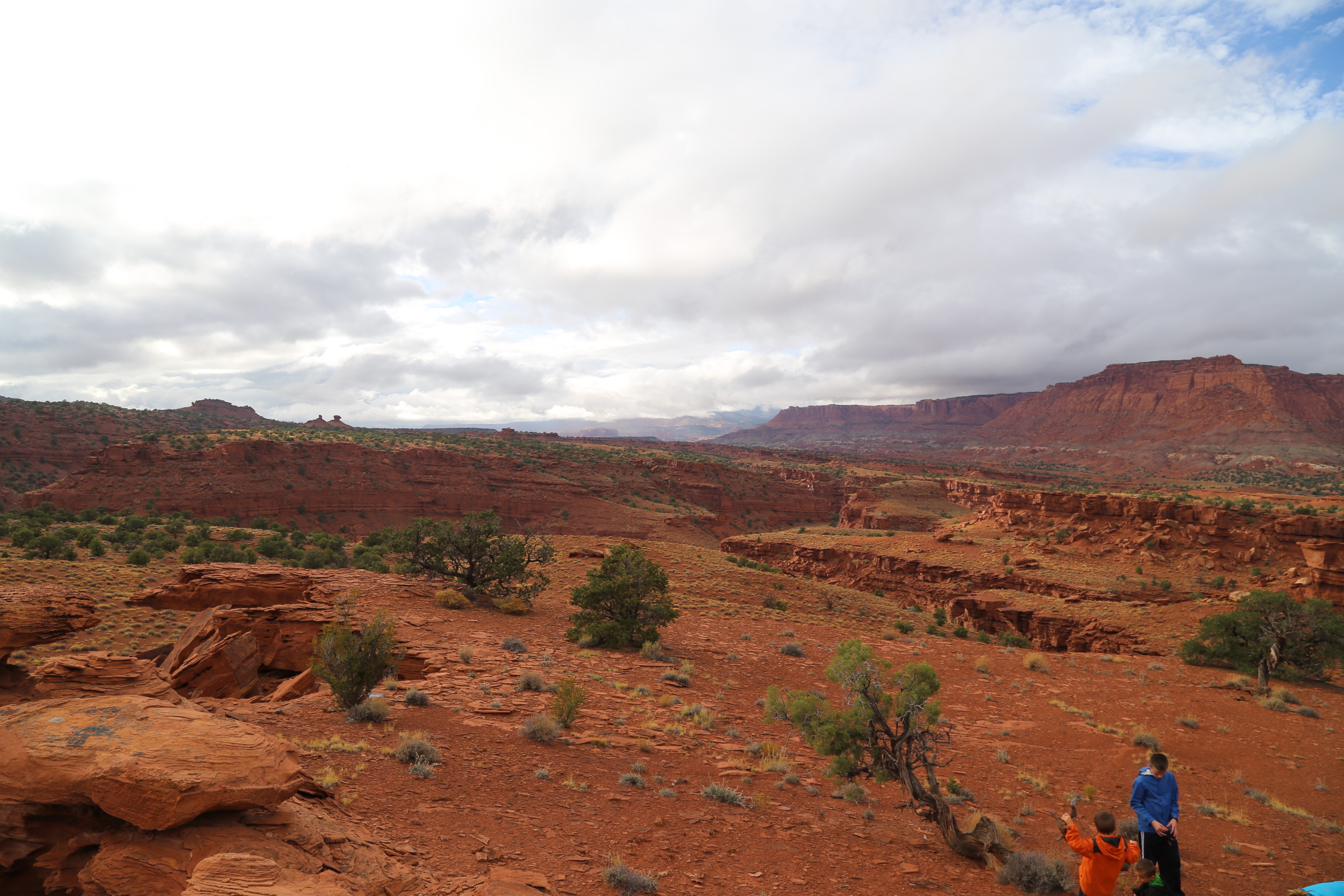 2015 Fall Break - Day 3 - Capitol Reef National Park (Gifford House Pies, Hickman Bridge Arch, Snakes Alive!, Picking Apples in the Fruita Pioneer Orchards, Goosenecks Overlook, Panorama Point), Eating Rattlesnakes at Cafe Diablo (Torrey, Utah)