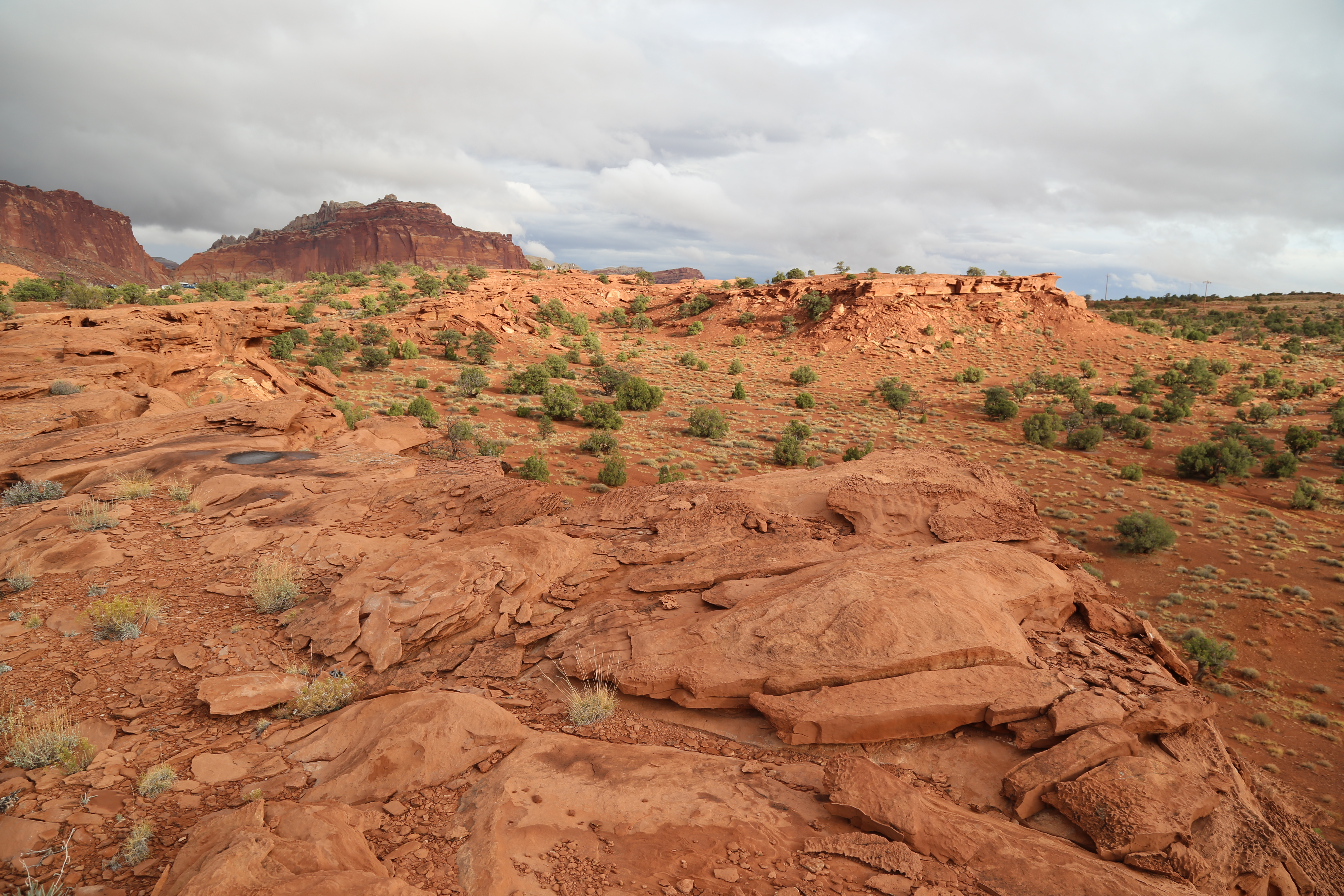 2015 Fall Break - Day 3 - Capitol Reef National Park (Gifford House Pies, Hickman Bridge Arch, Snakes Alive!, Picking Apples in the Fruita Pioneer Orchards, Goosenecks Overlook, Panorama Point), Eating Rattlesnakes at Cafe Diablo (Torrey, Utah)