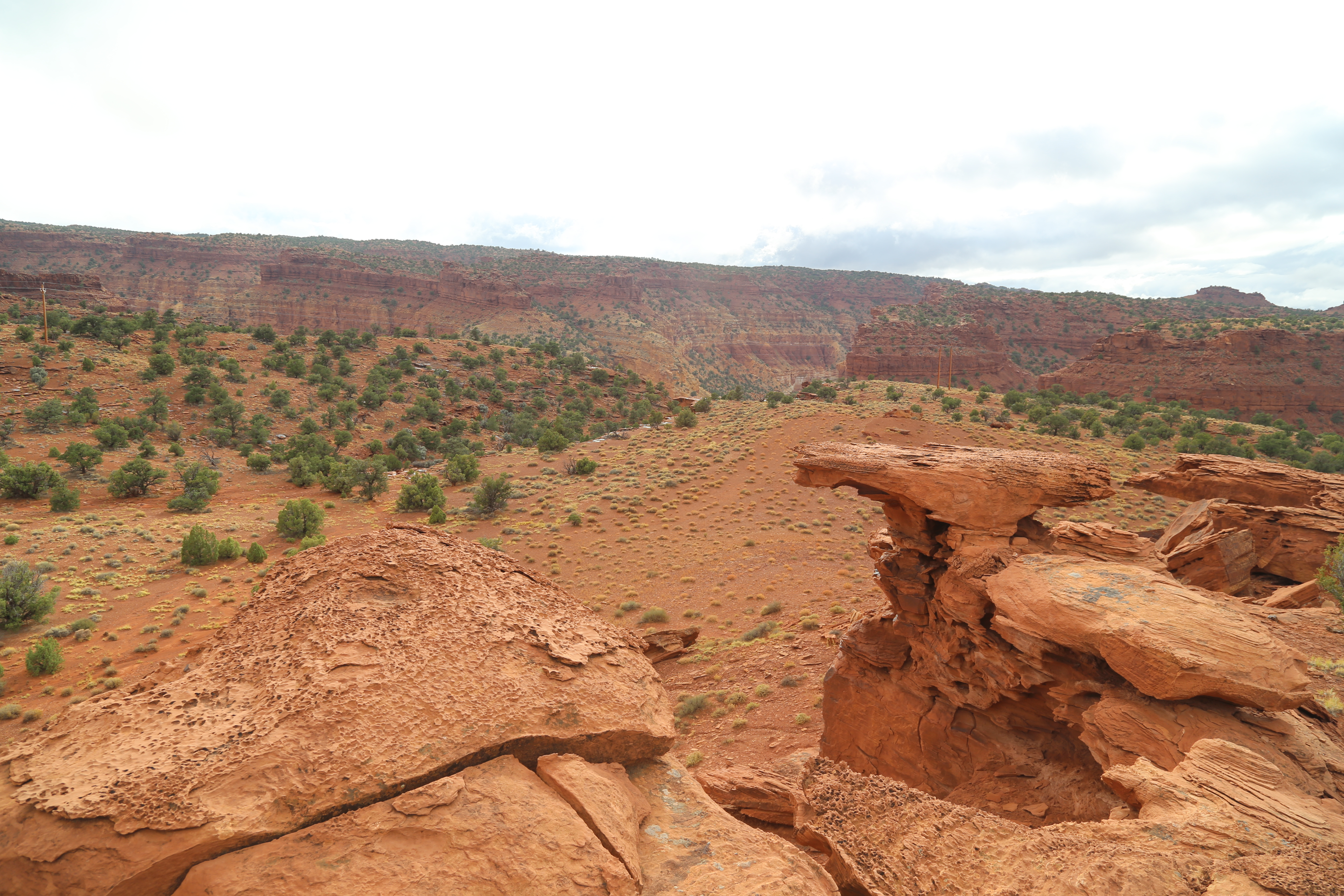 2015 Fall Break - Day 3 - Capitol Reef National Park (Gifford House Pies, Hickman Bridge Arch, Snakes Alive!, Picking Apples in the Fruita Pioneer Orchards, Goosenecks Overlook, Panorama Point), Eating Rattlesnakes at Cafe Diablo (Torrey, Utah)