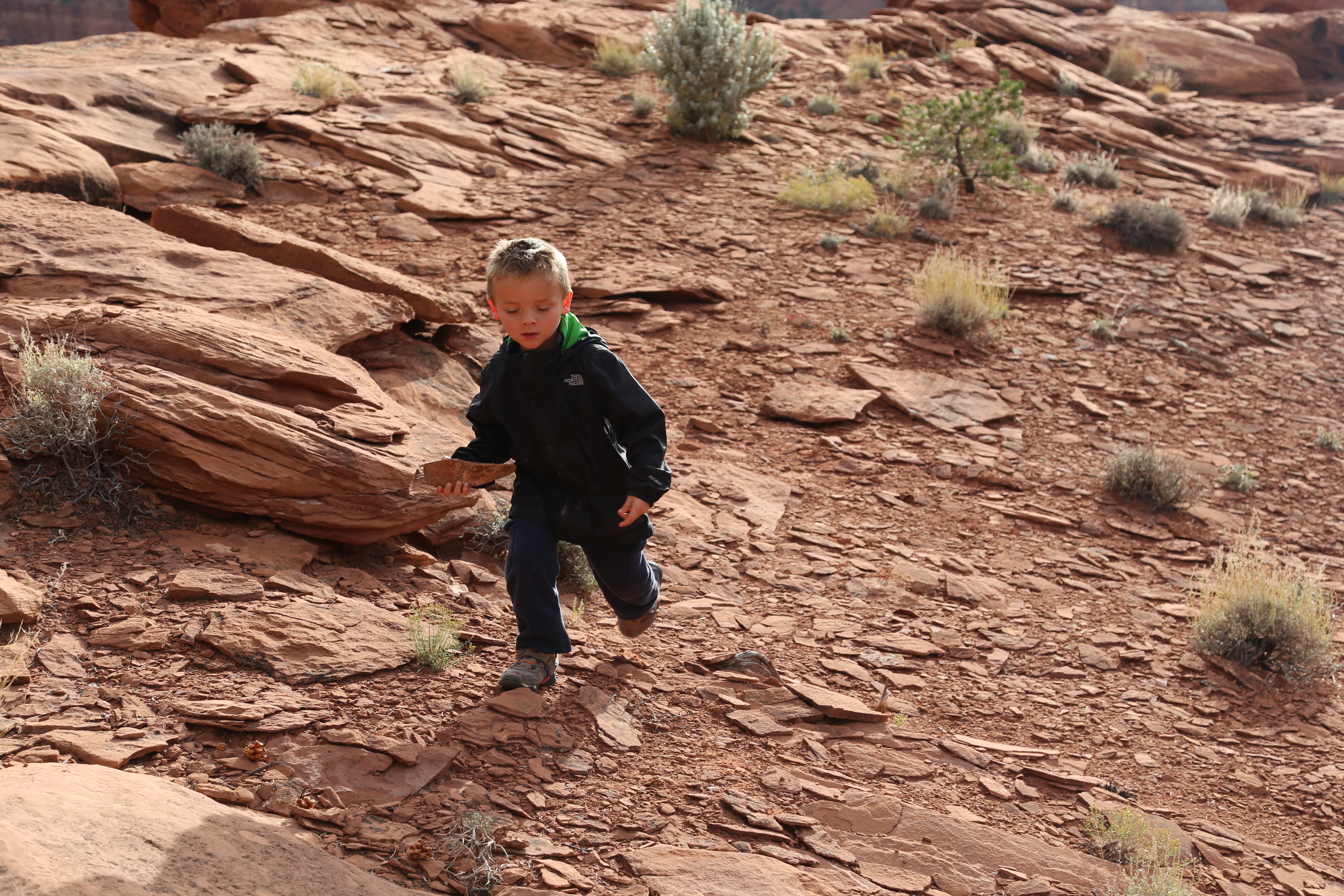 2015 Fall Break - Day 3 - Capitol Reef National Park (Gifford House Pies, Hickman Bridge Arch, Snakes Alive!, Picking Apples in the Fruita Pioneer Orchards, Goosenecks Overlook, Panorama Point), Eating Rattlesnakes at Cafe Diablo (Torrey, Utah)