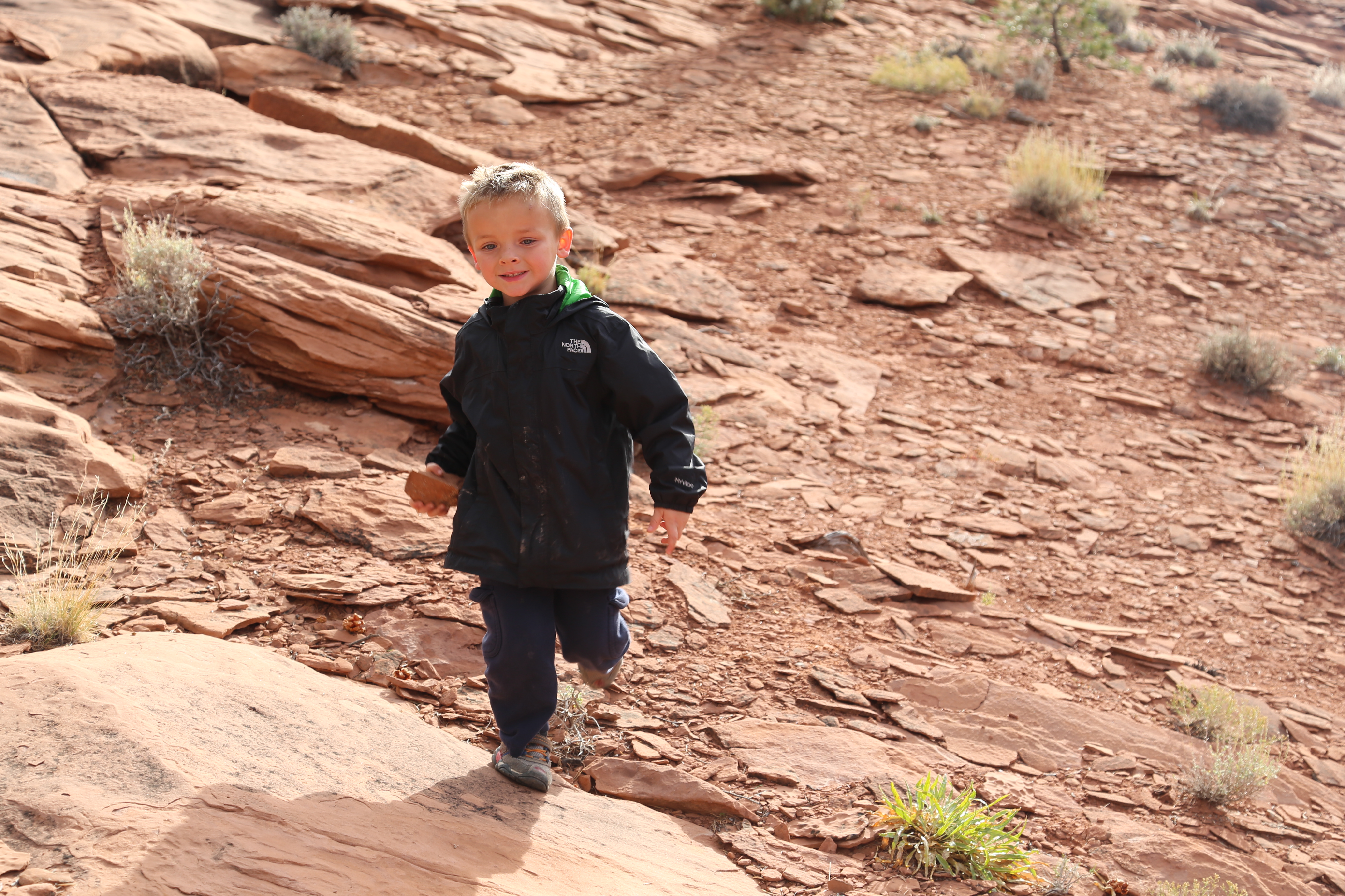 2015 Fall Break - Day 3 - Capitol Reef National Park (Gifford House Pies, Hickman Bridge Arch, Snakes Alive!, Picking Apples in the Fruita Pioneer Orchards, Goosenecks Overlook, Panorama Point), Eating Rattlesnakes at Cafe Diablo (Torrey, Utah)