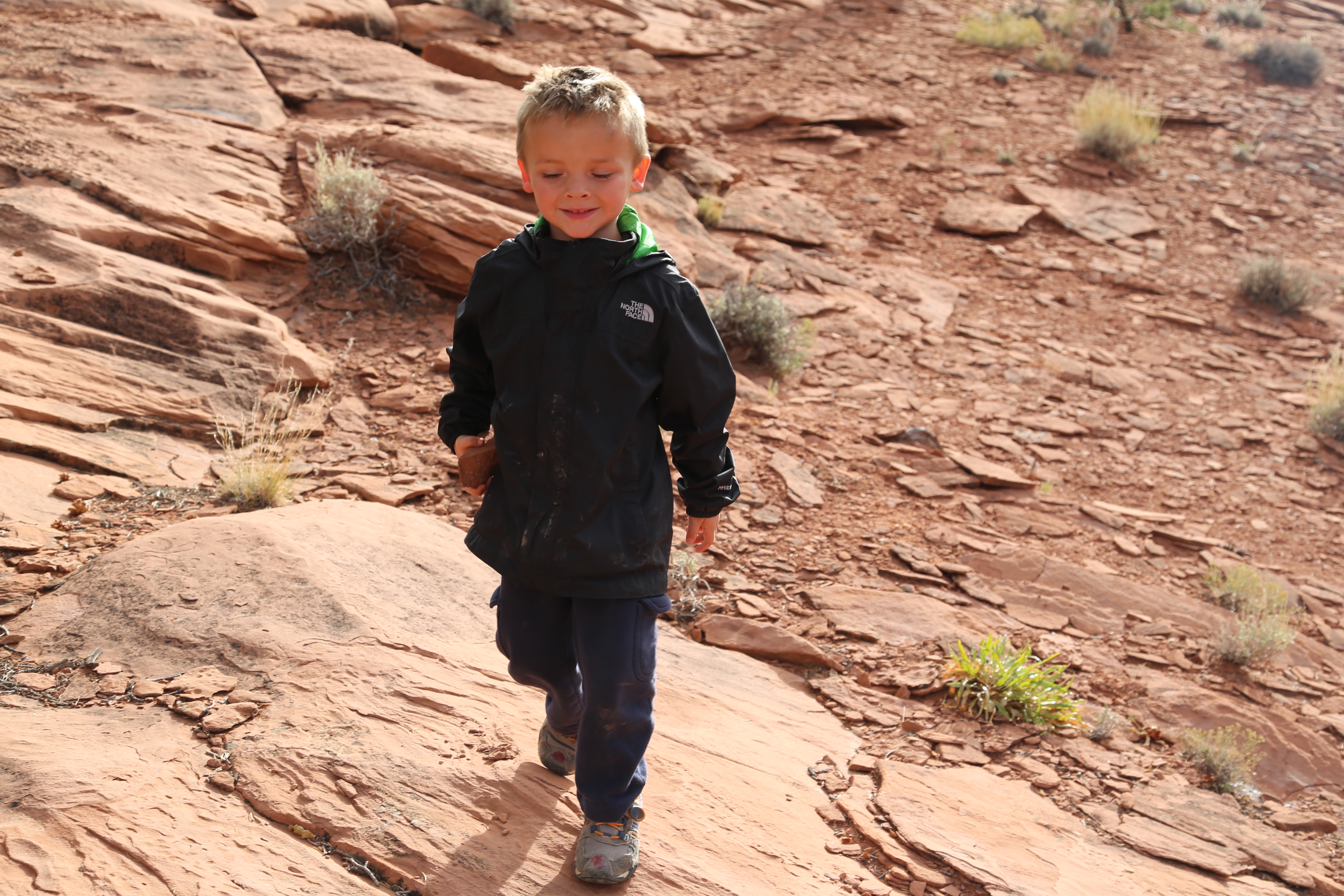 2015 Fall Break - Day 3 - Capitol Reef National Park (Gifford House Pies, Hickman Bridge Arch, Snakes Alive!, Picking Apples in the Fruita Pioneer Orchards, Goosenecks Overlook, Panorama Point), Eating Rattlesnakes at Cafe Diablo (Torrey, Utah)