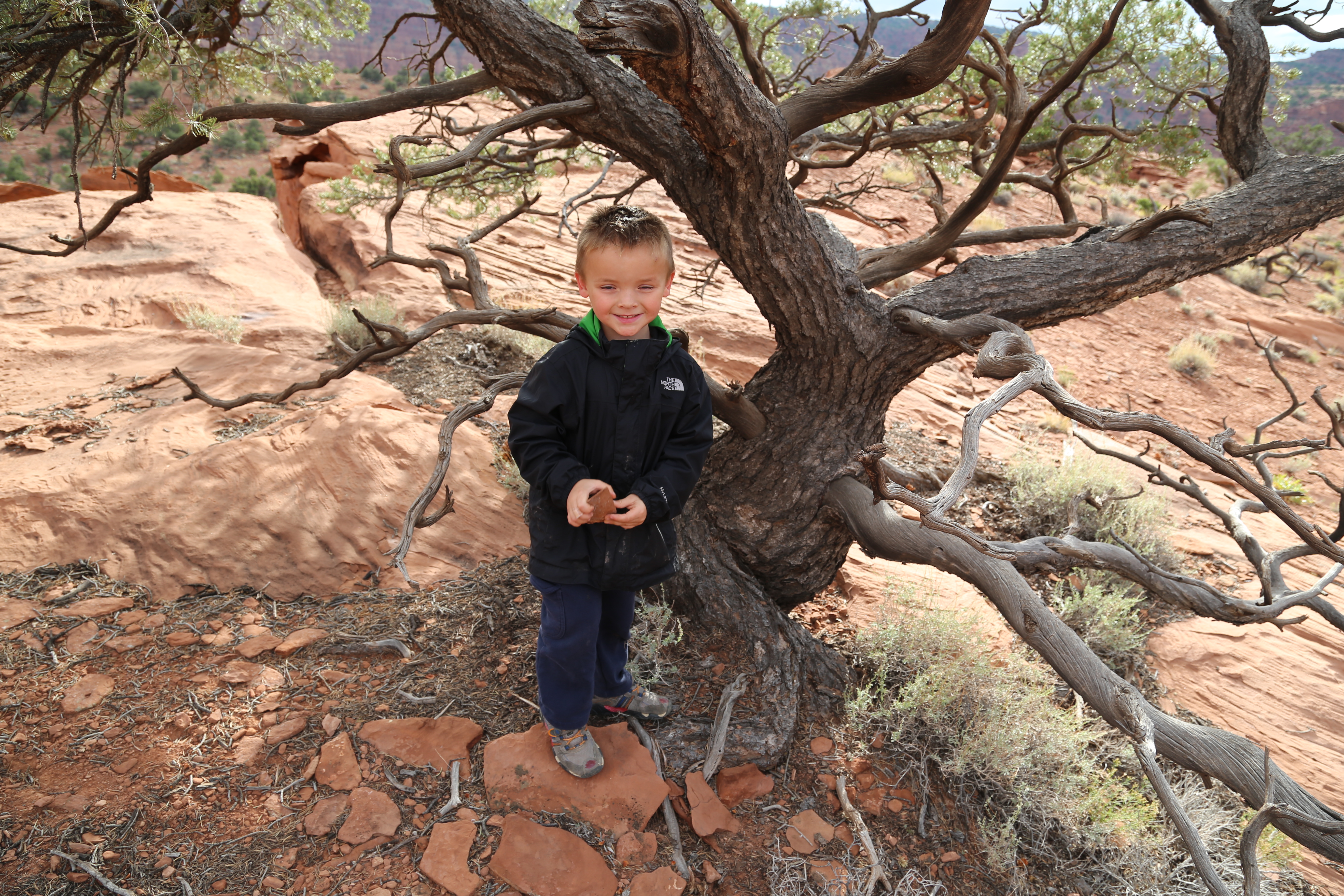 2015 Fall Break - Day 3 - Capitol Reef National Park (Gifford House Pies, Hickman Bridge Arch, Snakes Alive!, Picking Apples in the Fruita Pioneer Orchards, Goosenecks Overlook, Panorama Point), Eating Rattlesnakes at Cafe Diablo (Torrey, Utah)