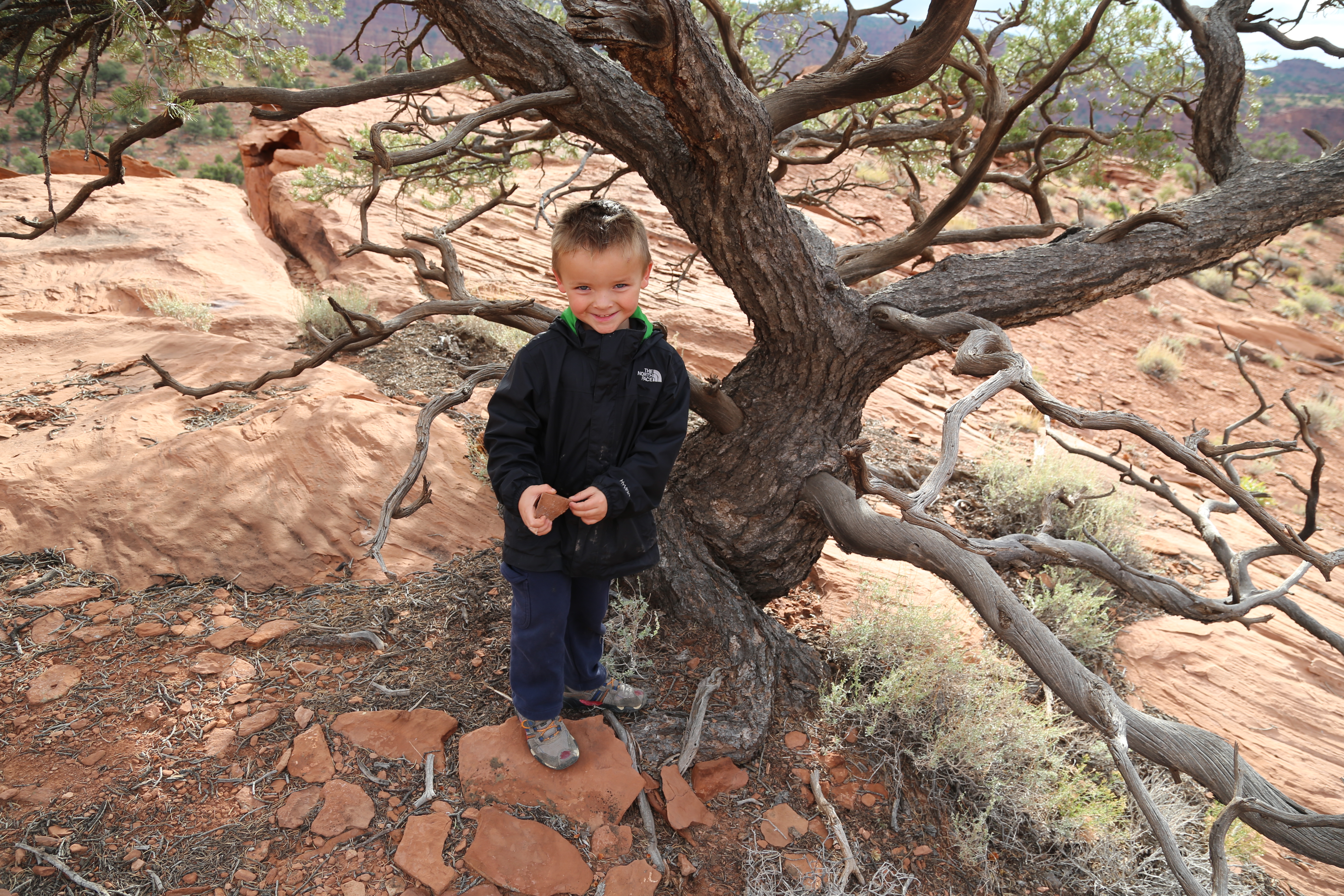 2015 Fall Break - Day 3 - Capitol Reef National Park (Gifford House Pies, Hickman Bridge Arch, Snakes Alive!, Picking Apples in the Fruita Pioneer Orchards, Goosenecks Overlook, Panorama Point), Eating Rattlesnakes at Cafe Diablo (Torrey, Utah)