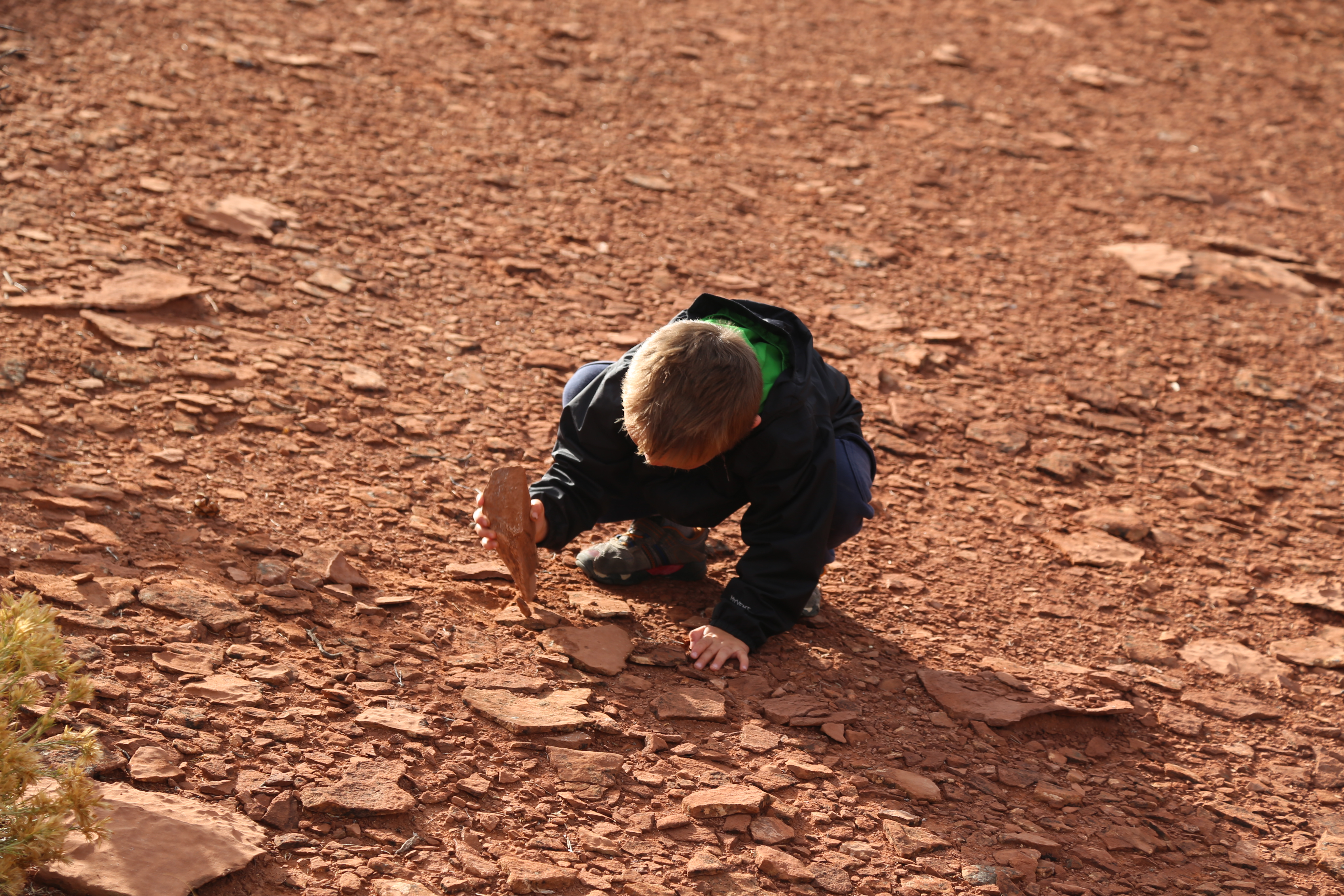 2015 Fall Break - Day 3 - Capitol Reef National Park (Gifford House Pies, Hickman Bridge Arch, Snakes Alive!, Picking Apples in the Fruita Pioneer Orchards, Goosenecks Overlook, Panorama Point), Eating Rattlesnakes at Cafe Diablo (Torrey, Utah)