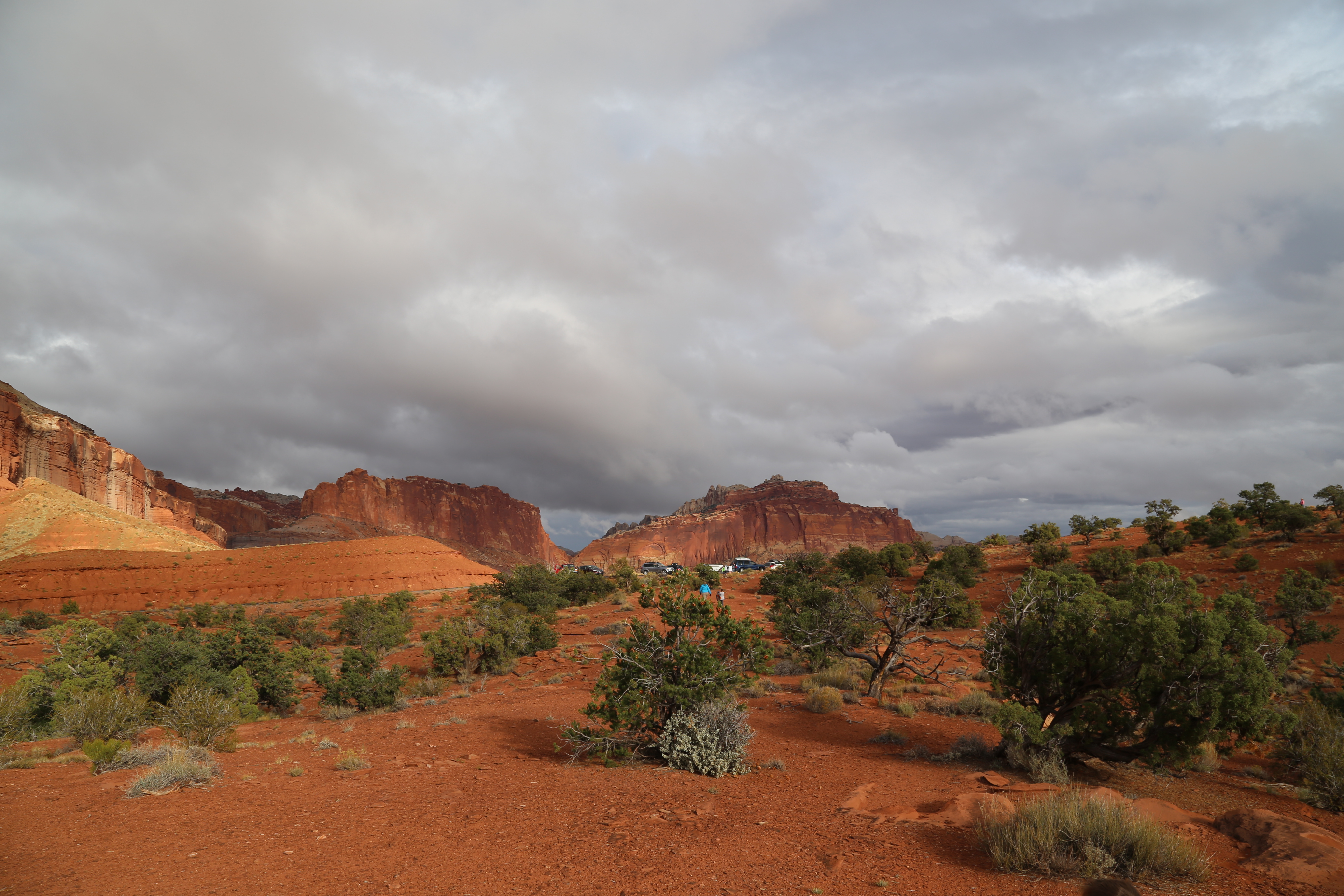 2015 Fall Break - Day 3 - Capitol Reef National Park (Gifford House Pies, Hickman Bridge Arch, Snakes Alive!, Picking Apples in the Fruita Pioneer Orchards, Goosenecks Overlook, Panorama Point), Eating Rattlesnakes at Cafe Diablo (Torrey, Utah)