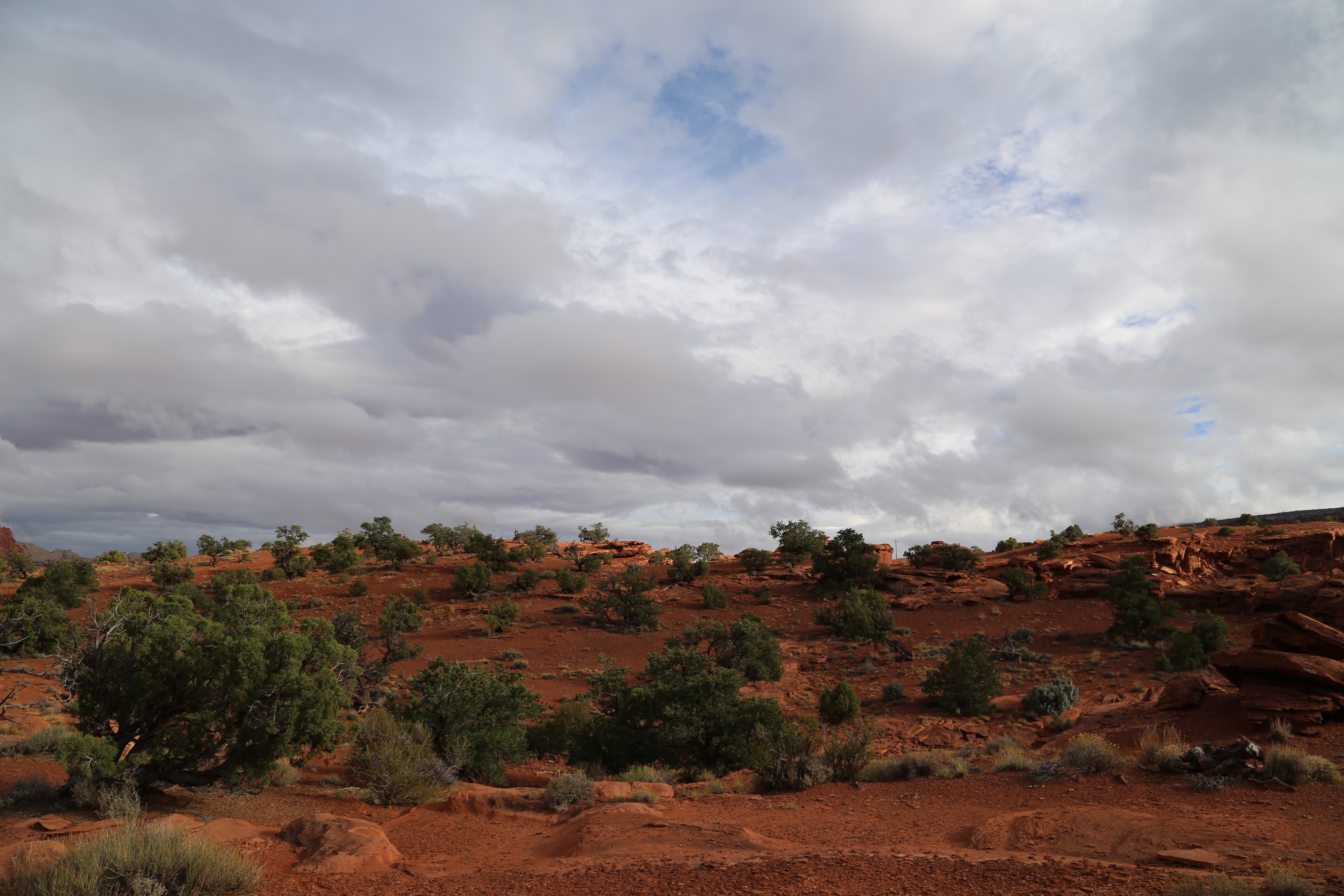 2015 Fall Break - Day 3 - Capitol Reef National Park (Gifford House Pies, Hickman Bridge Arch, Snakes Alive!, Picking Apples in the Fruita Pioneer Orchards, Goosenecks Overlook, Panorama Point), Eating Rattlesnakes at Cafe Diablo (Torrey, Utah)