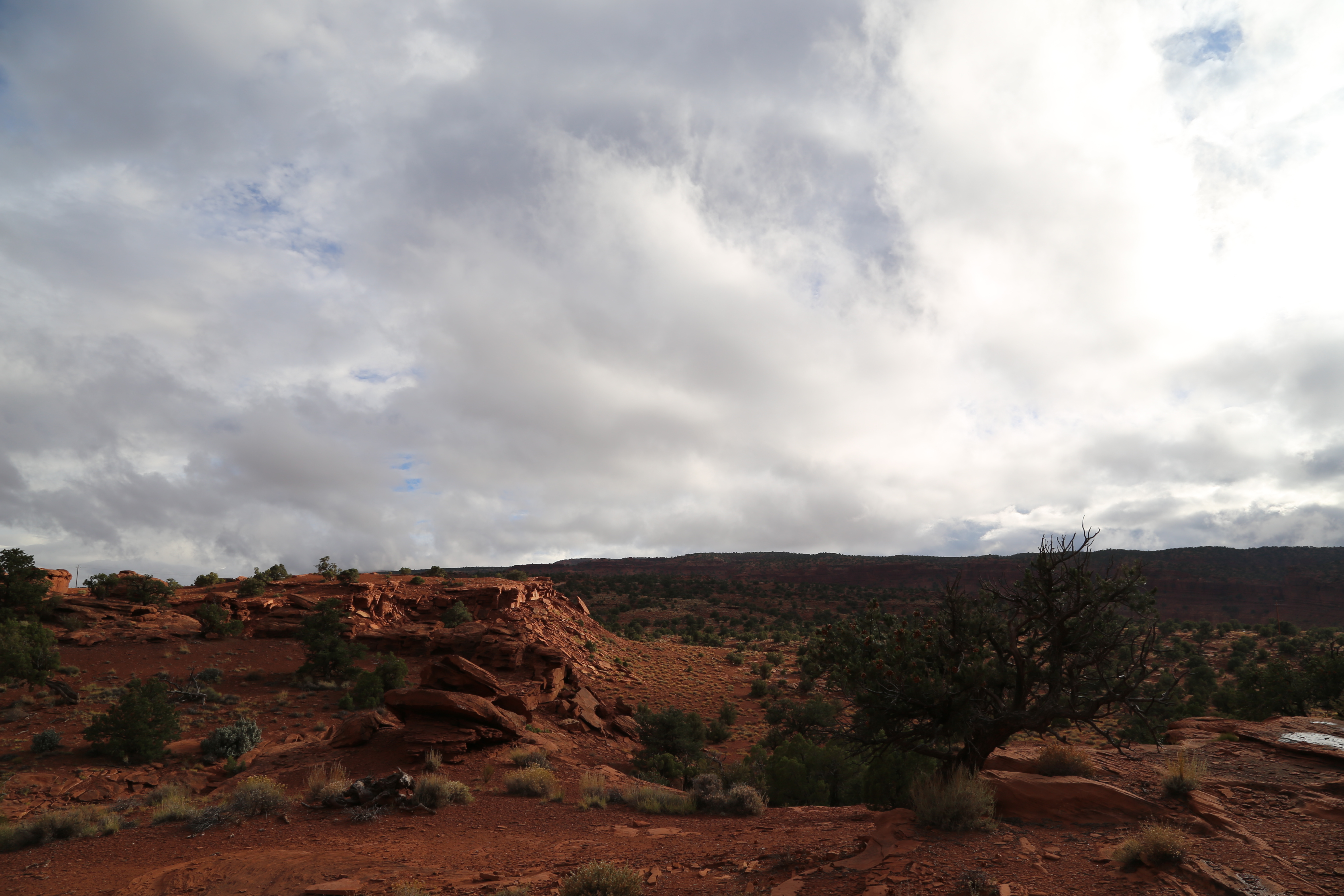 2015 Fall Break - Day 3 - Capitol Reef National Park (Gifford House Pies, Hickman Bridge Arch, Snakes Alive!, Picking Apples in the Fruita Pioneer Orchards, Goosenecks Overlook, Panorama Point), Eating Rattlesnakes at Cafe Diablo (Torrey, Utah)