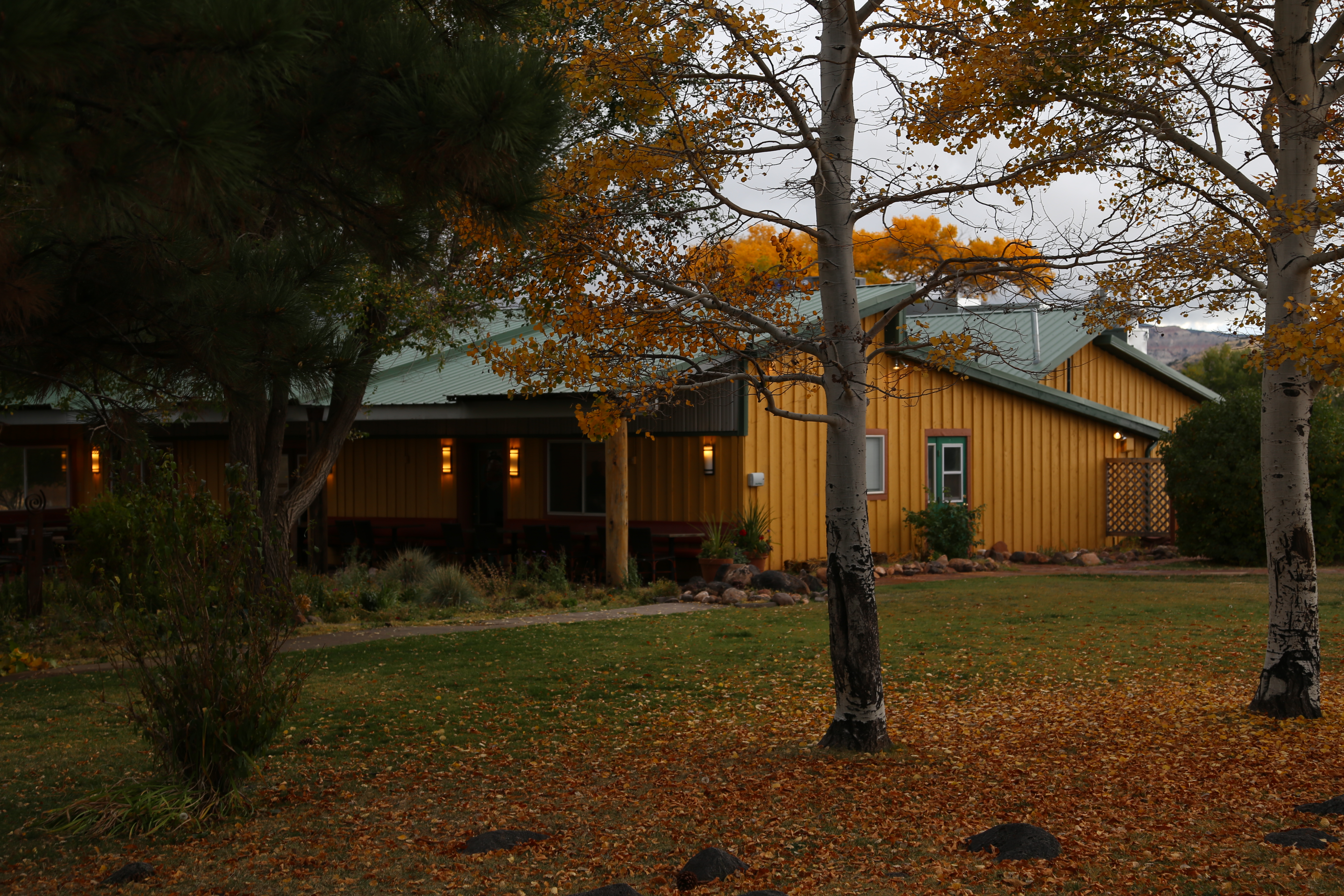 2015 Fall Break - Day 3 - Capitol Reef National Park (Gifford House Pies, Hickman Bridge Arch, Snakes Alive!, Picking Apples in the Fruita Pioneer Orchards, Goosenecks Overlook, Panorama Point), Eating Rattlesnakes at Cafe Diablo (Torrey, Utah)