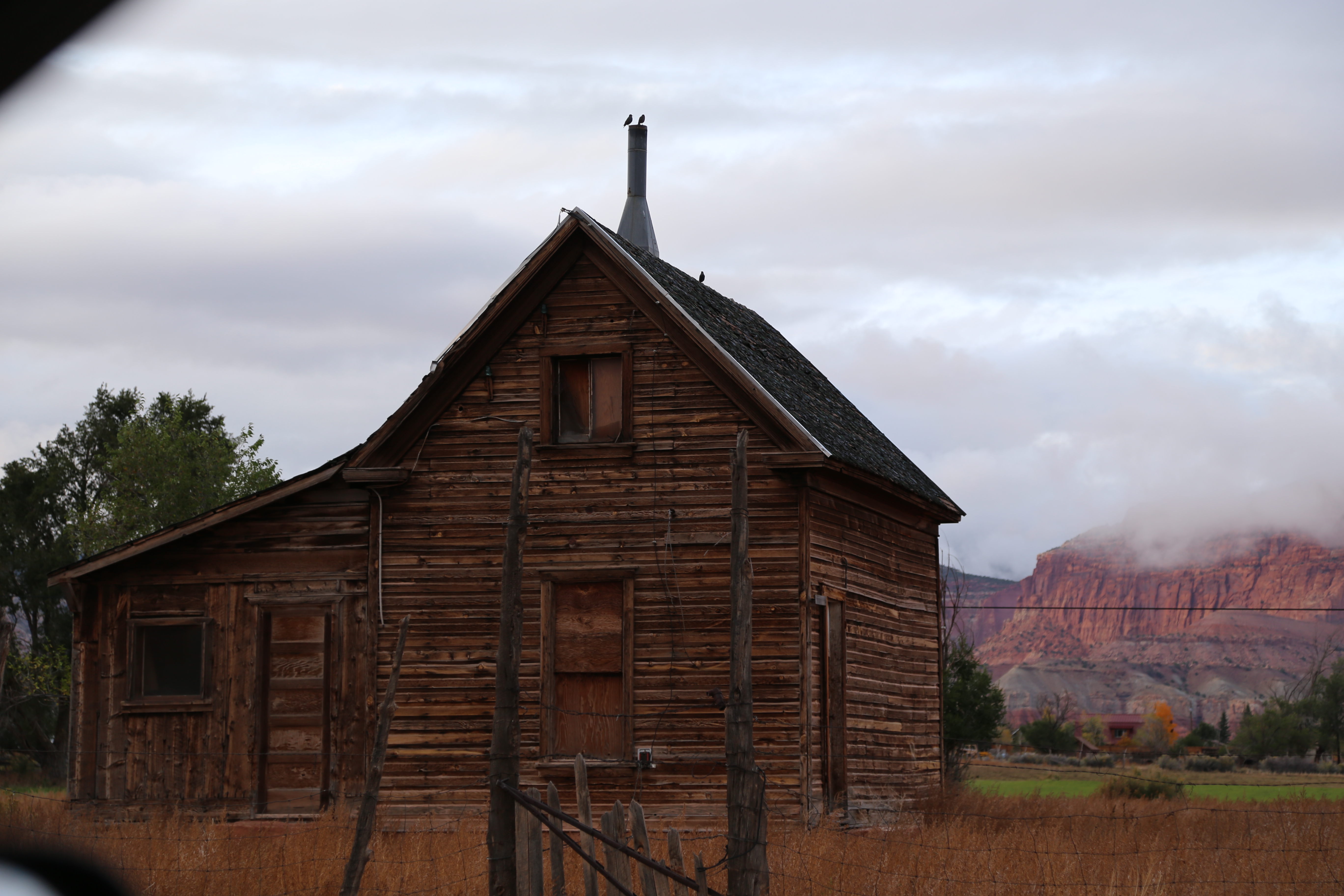 2015 Fall Break - Day 3 - Capitol Reef National Park (Gifford House Pies, Hickman Bridge Arch, Snakes Alive!, Picking Apples in the Fruita Pioneer Orchards, Goosenecks Overlook, Panorama Point), Eating Rattlesnakes at Cafe Diablo (Torrey, Utah)