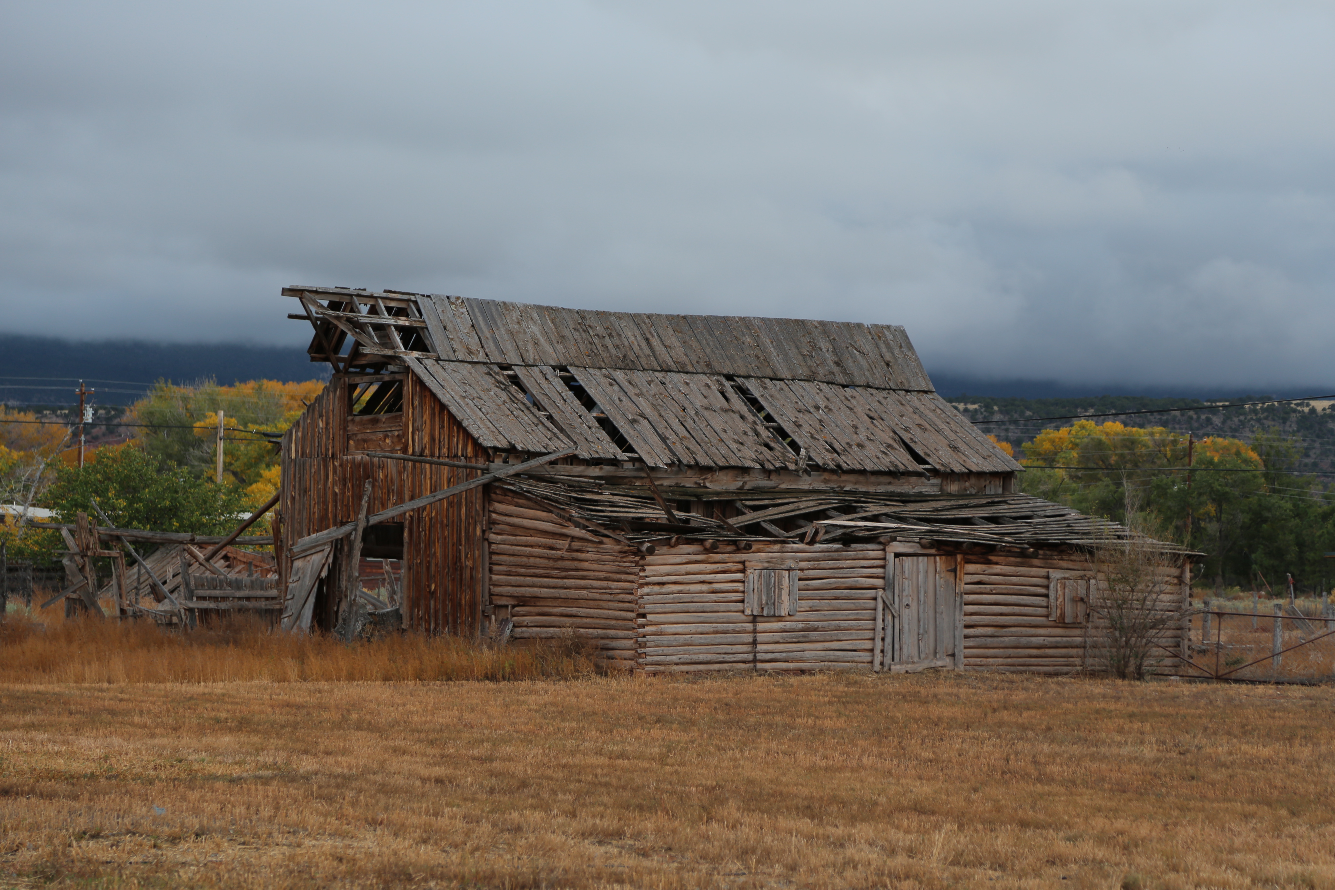 2015 Fall Break - Day 3 - Capitol Reef National Park (Gifford House Pies, Hickman Bridge Arch, Snakes Alive!, Picking Apples in the Fruita Pioneer Orchards, Goosenecks Overlook, Panorama Point), Eating Rattlesnakes at Cafe Diablo (Torrey, Utah)