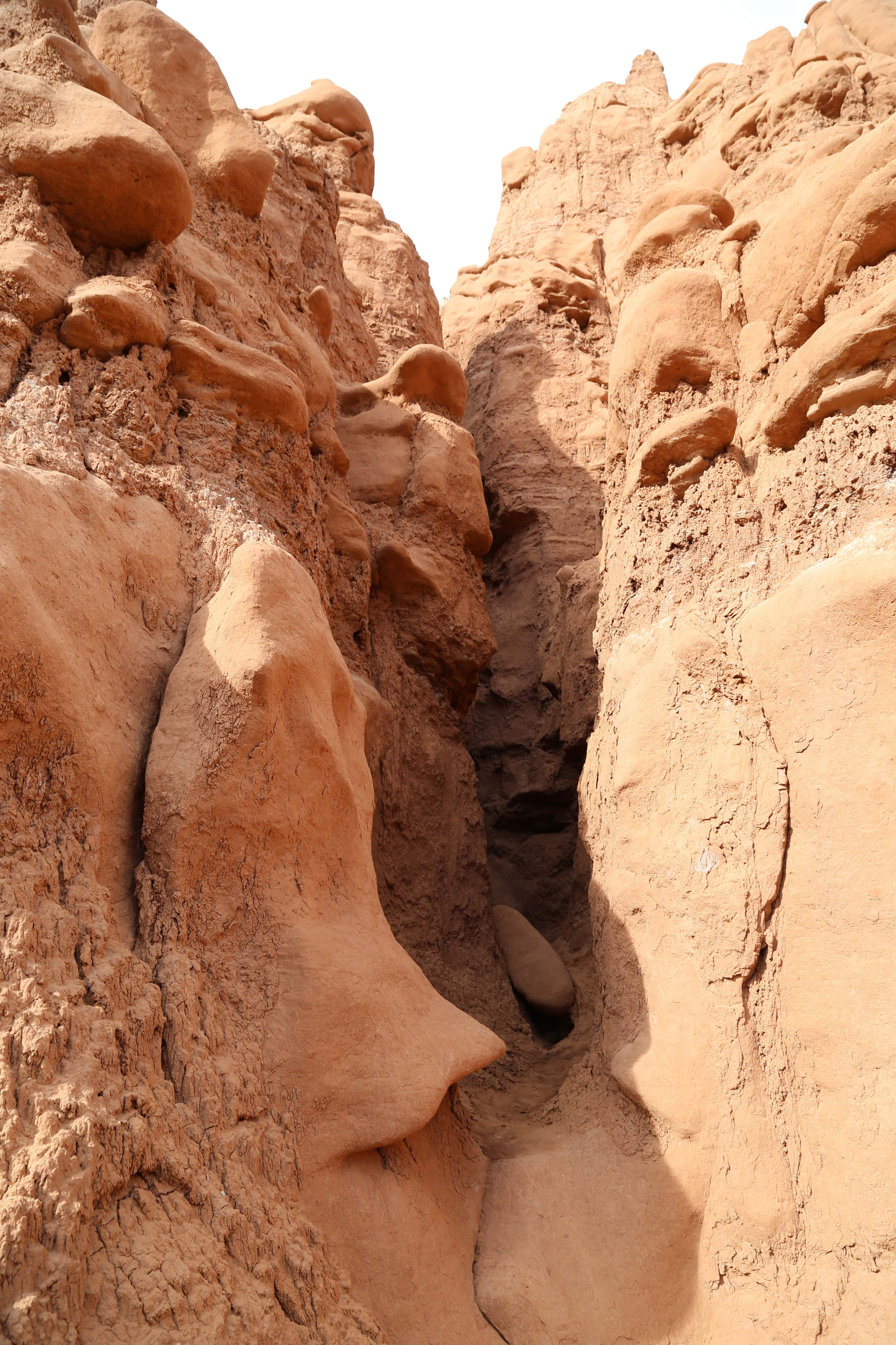 2015 Fall Break - Day 4 - Goblin Valley State Park (Hiking Through the Goblins, Capture the Flag in the Goblins), Capitol Reef National Park (Gifford House Pies, Behunin Cabin), More Homemade Pie at Capitol Reef Inn & Cafe (Torrey, Utah)