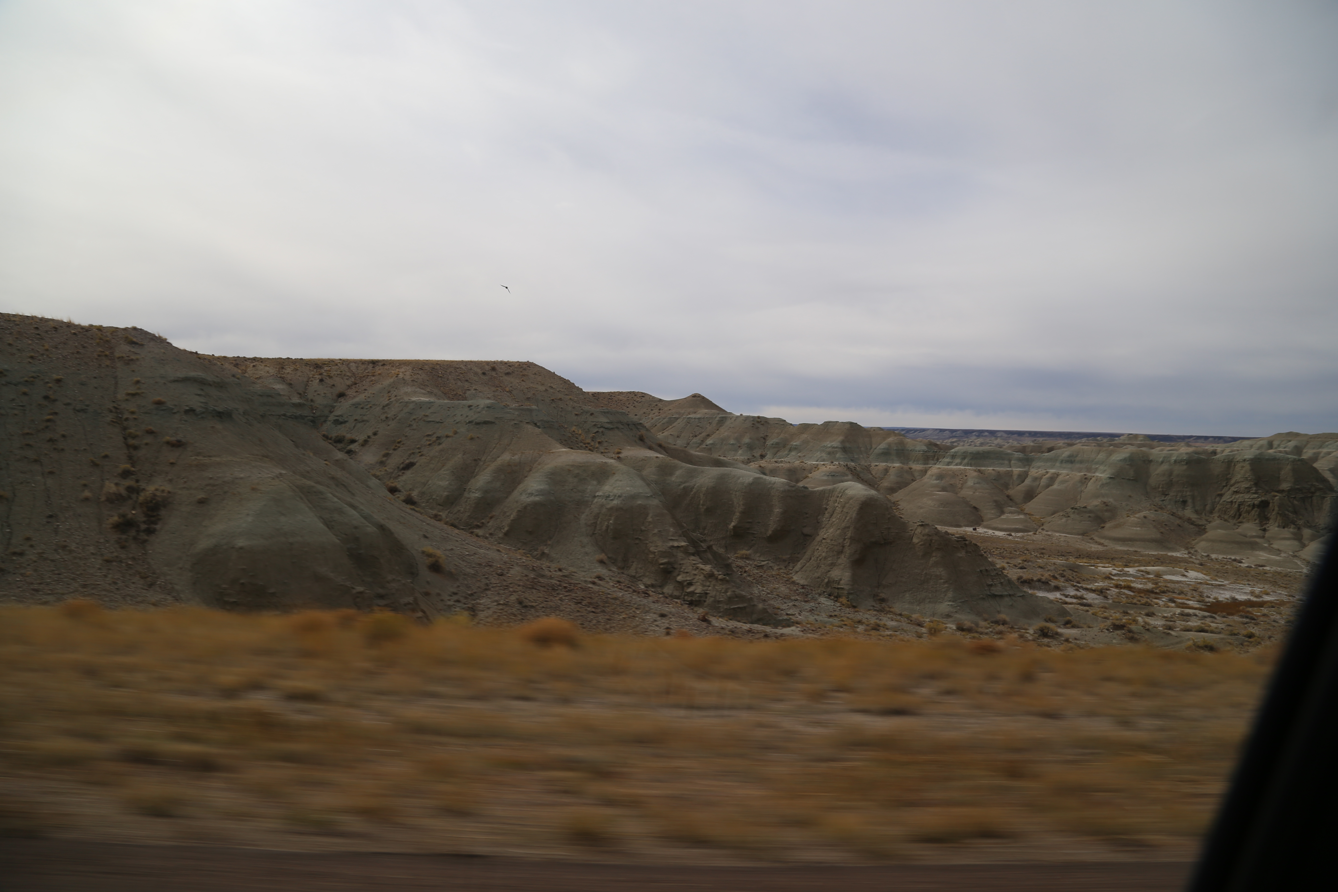 2015 Flaming Gorge Fishing Trip (Manila, Utah)