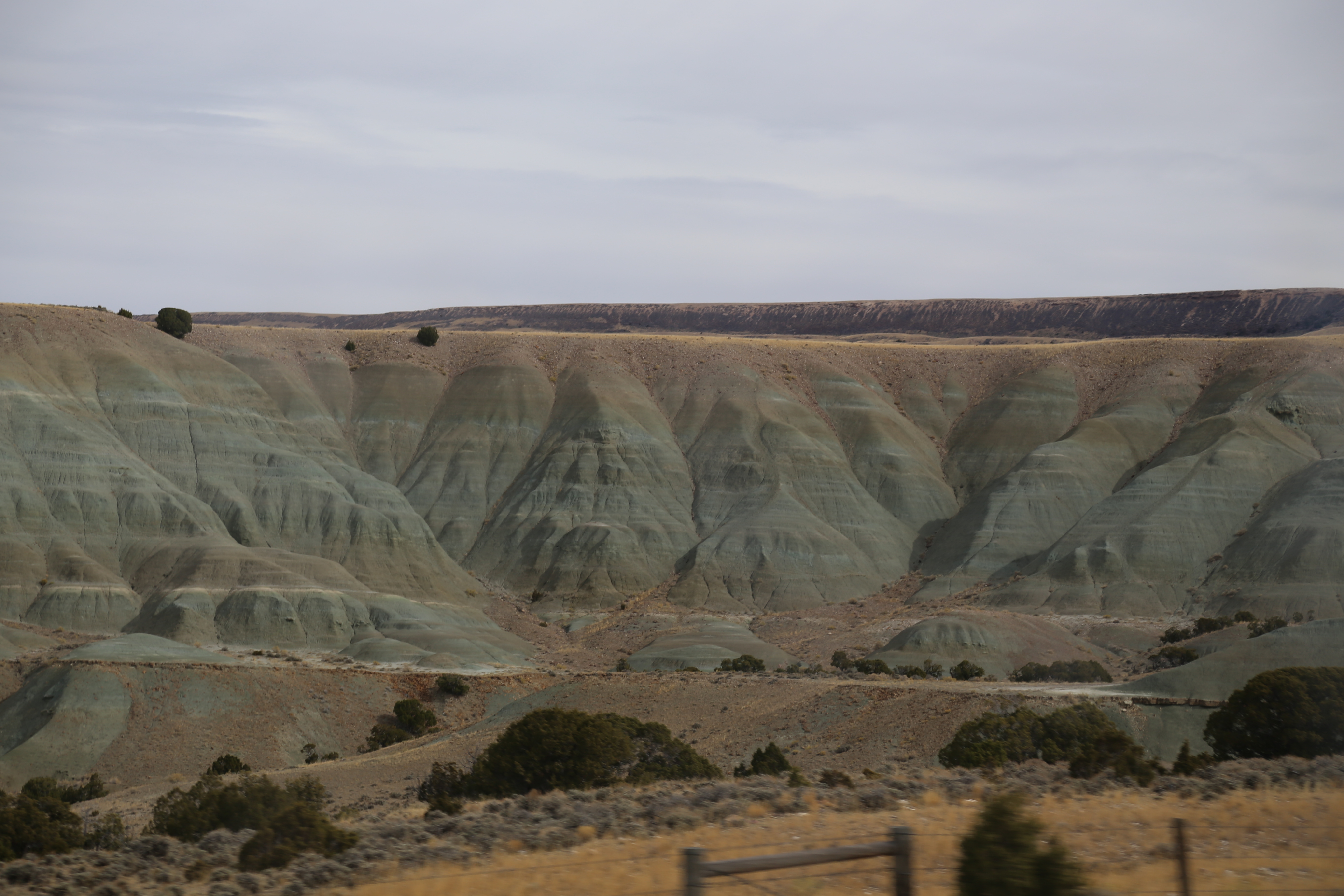 2015 Flaming Gorge Fishing Trip (Manila, Utah)