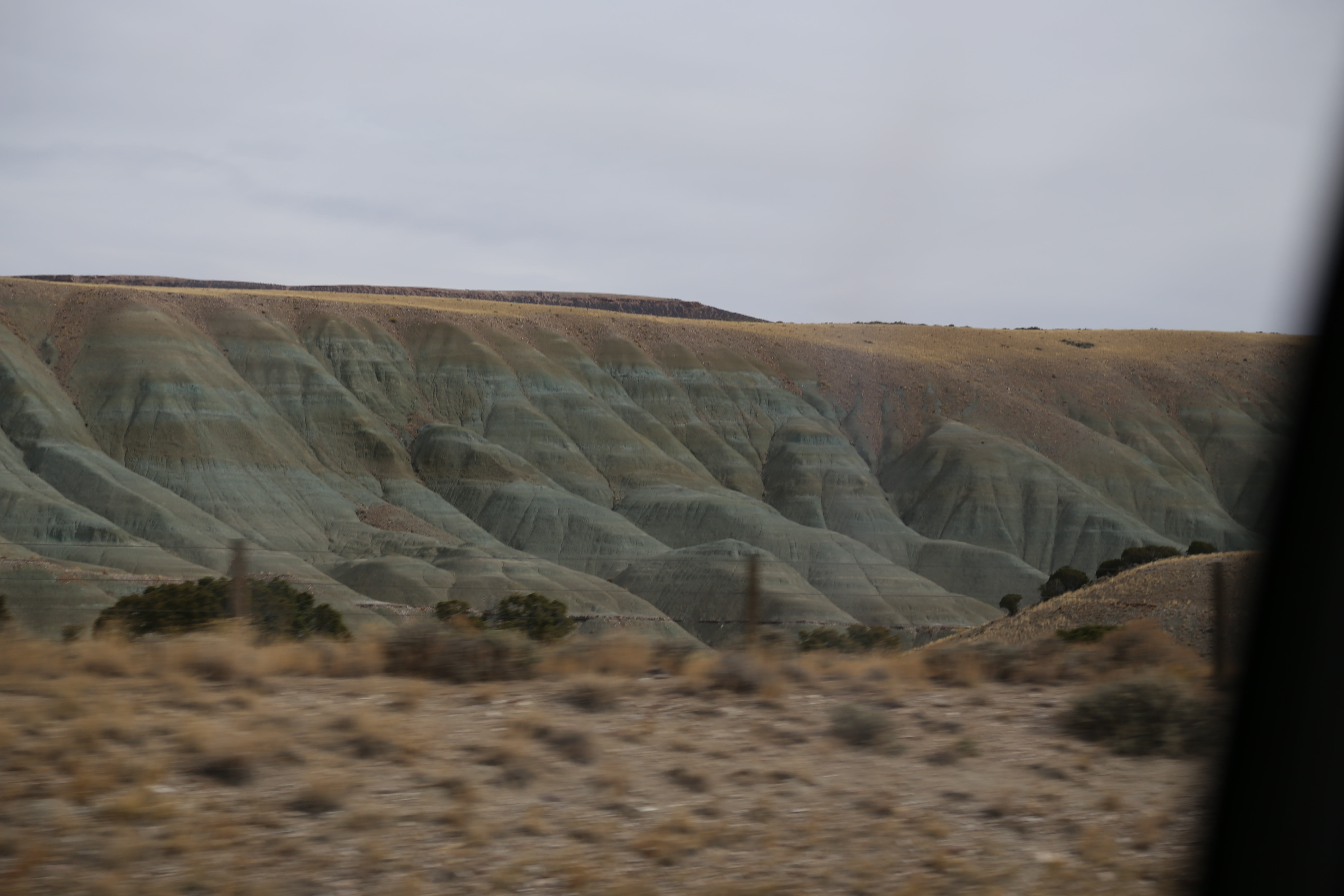2015 Flaming Gorge Fishing Trip (Manila, Utah)
