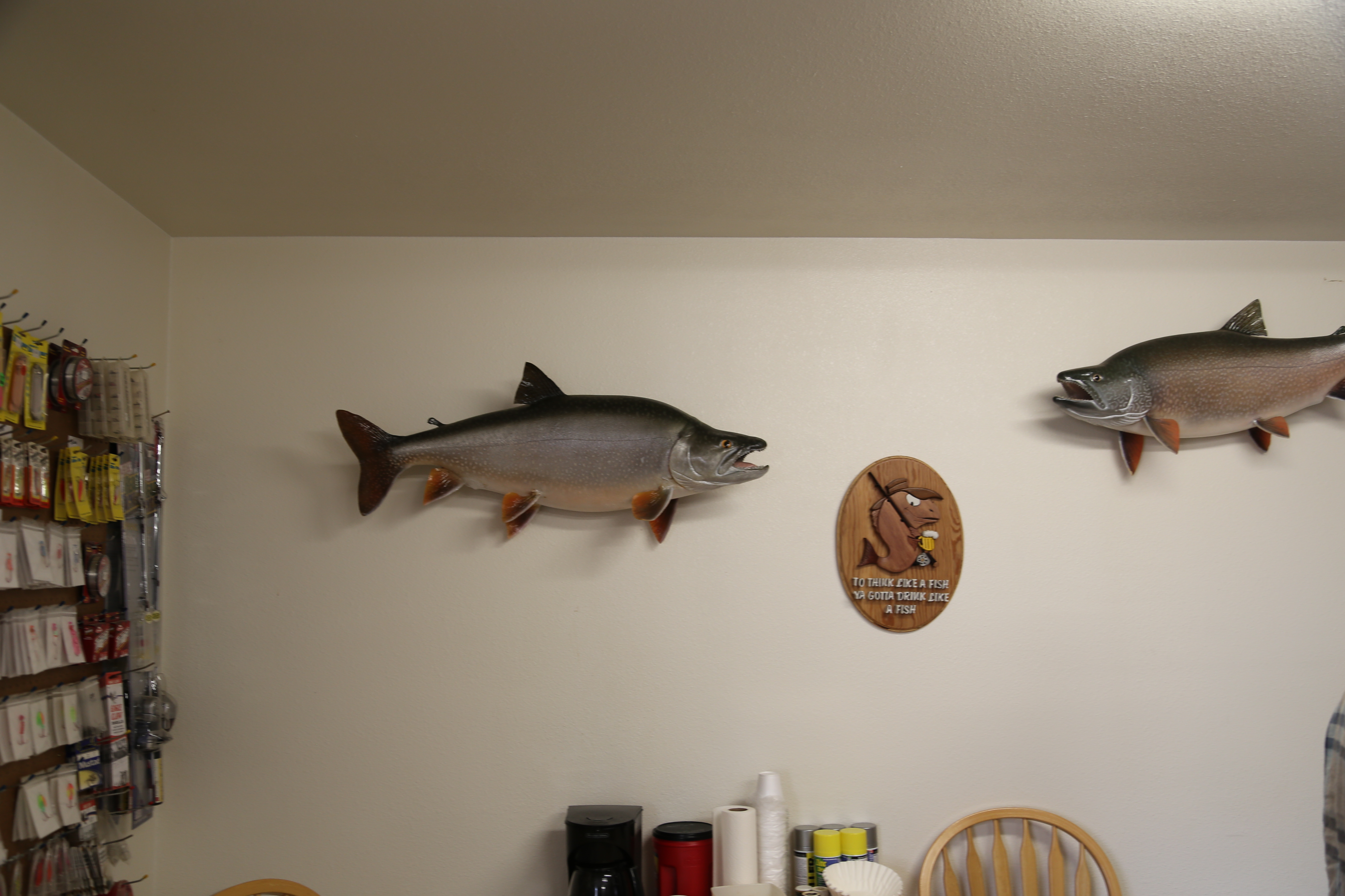 2015 Flaming Gorge Fishing Trip (Manila, Utah)