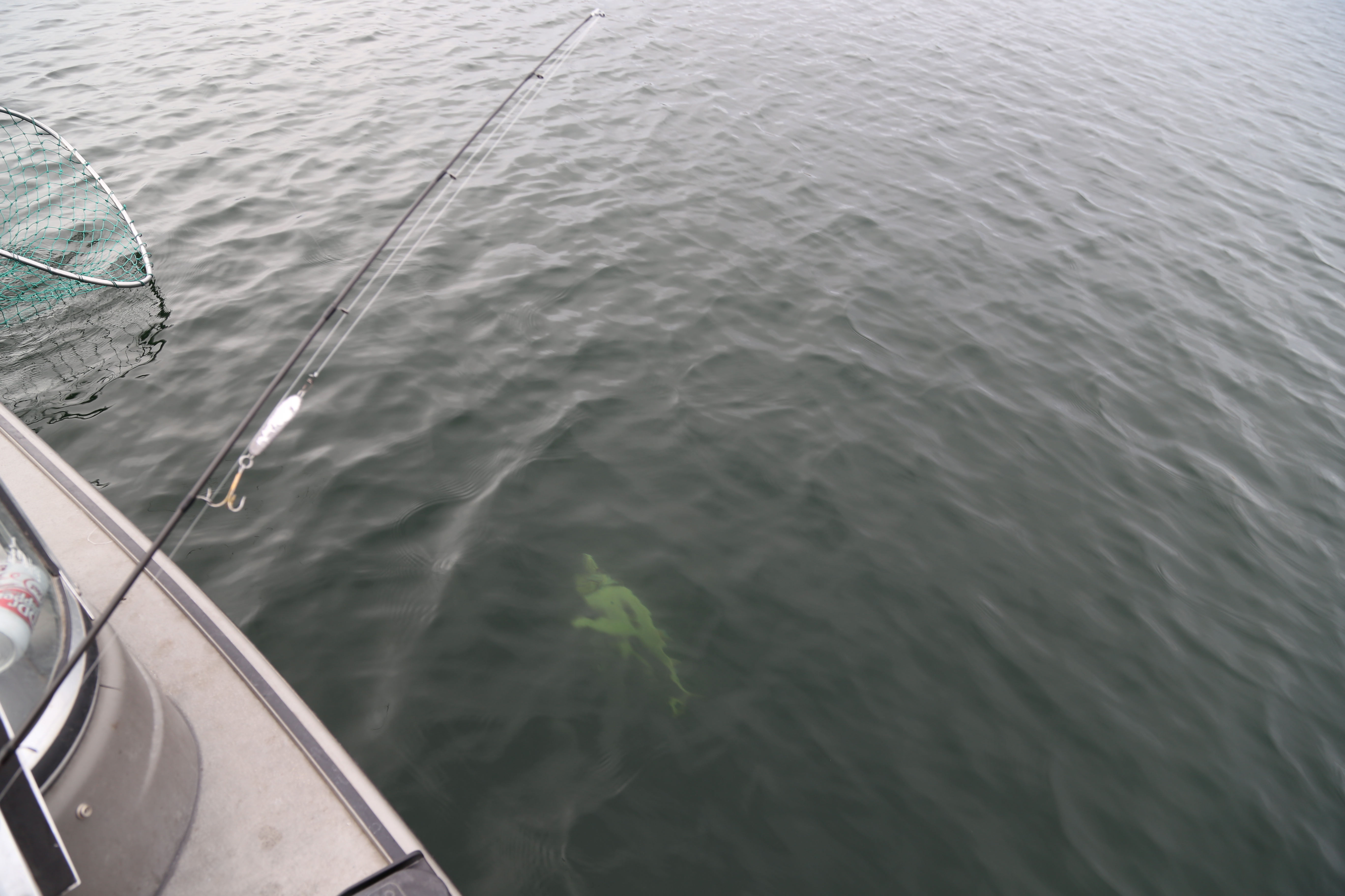 2015 Flaming Gorge Fishing Trip (Manila, Utah)
