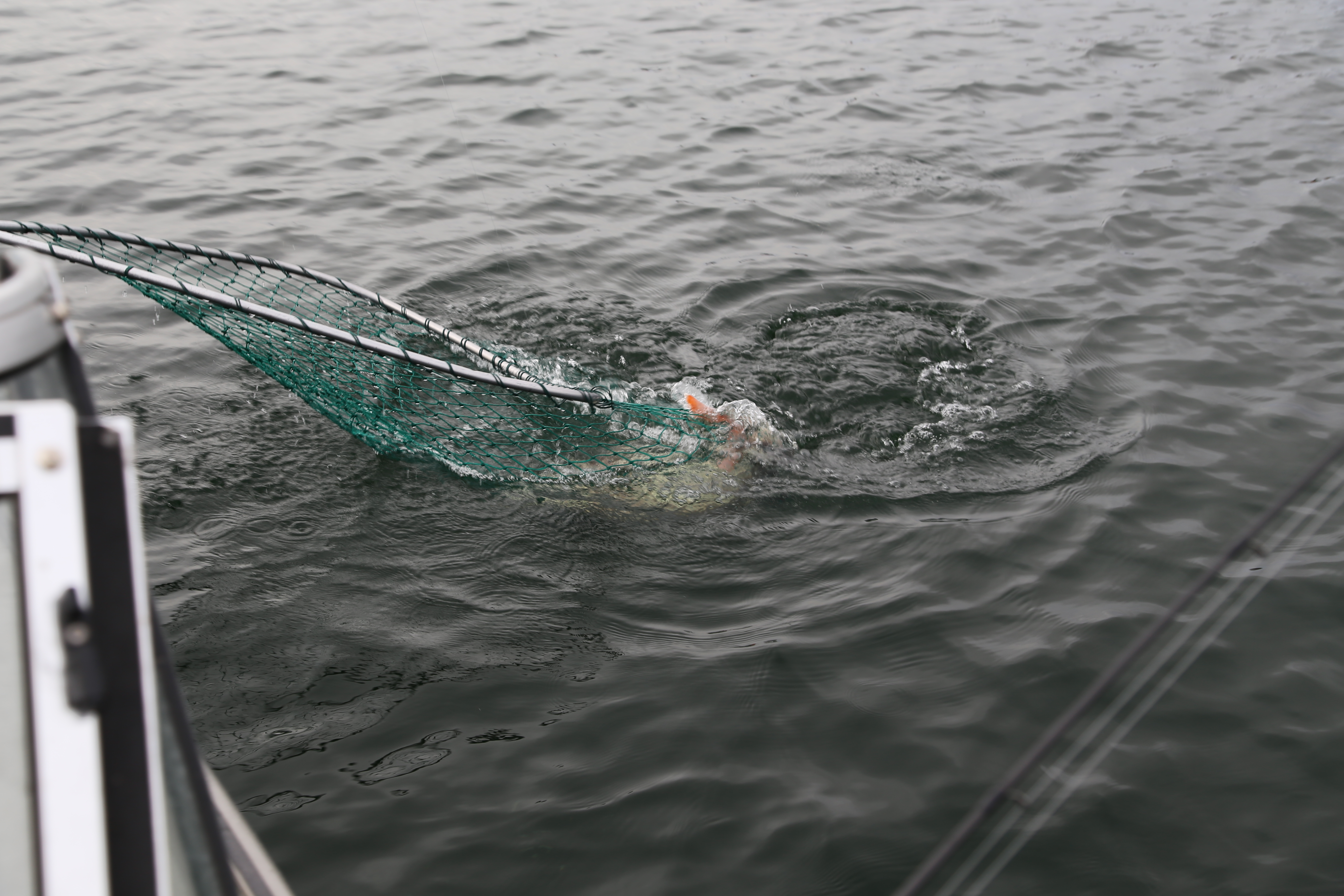 2015 Flaming Gorge Fishing Trip (Manila, Utah)
