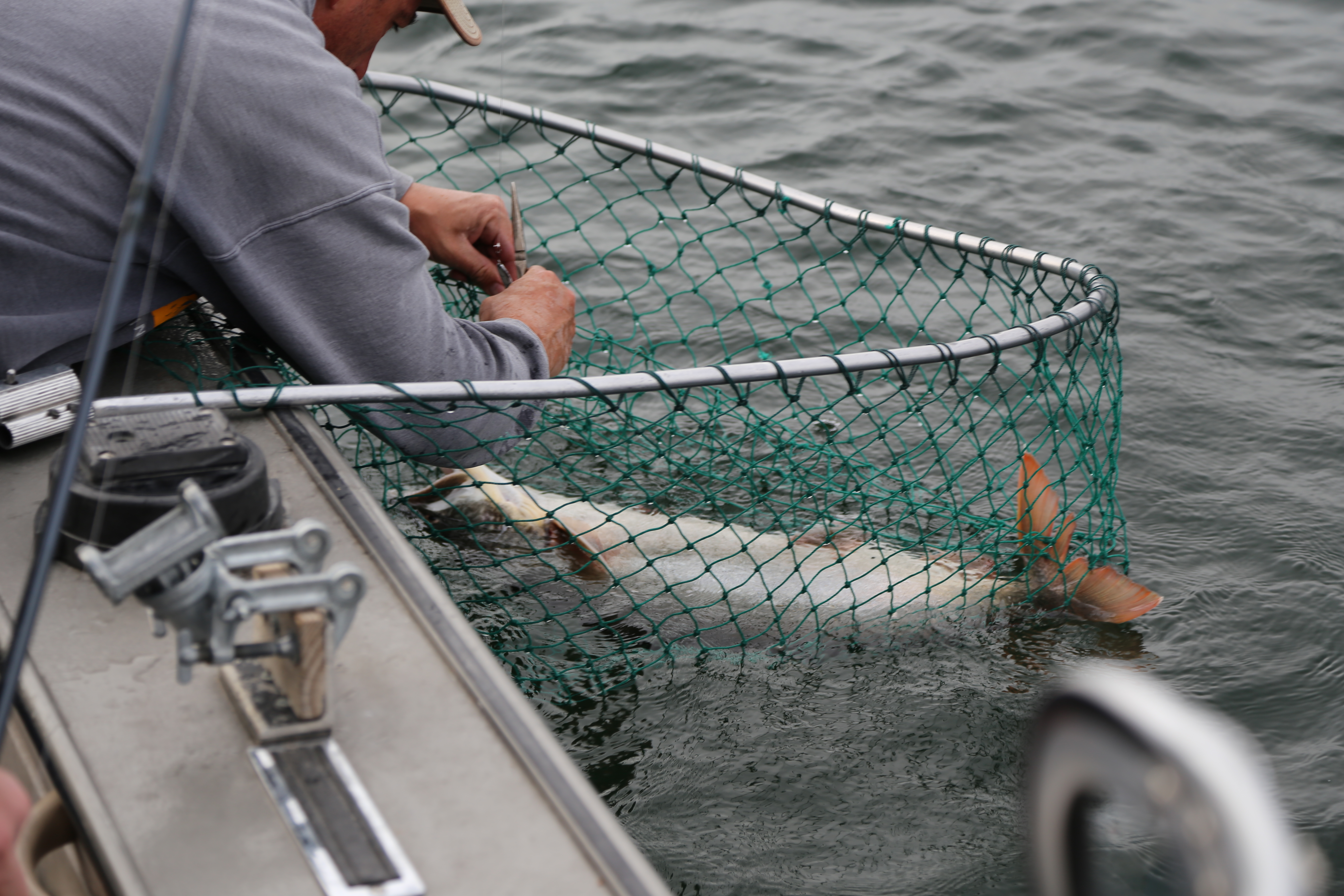 2015 Flaming Gorge Fishing Trip (Manila, Utah)