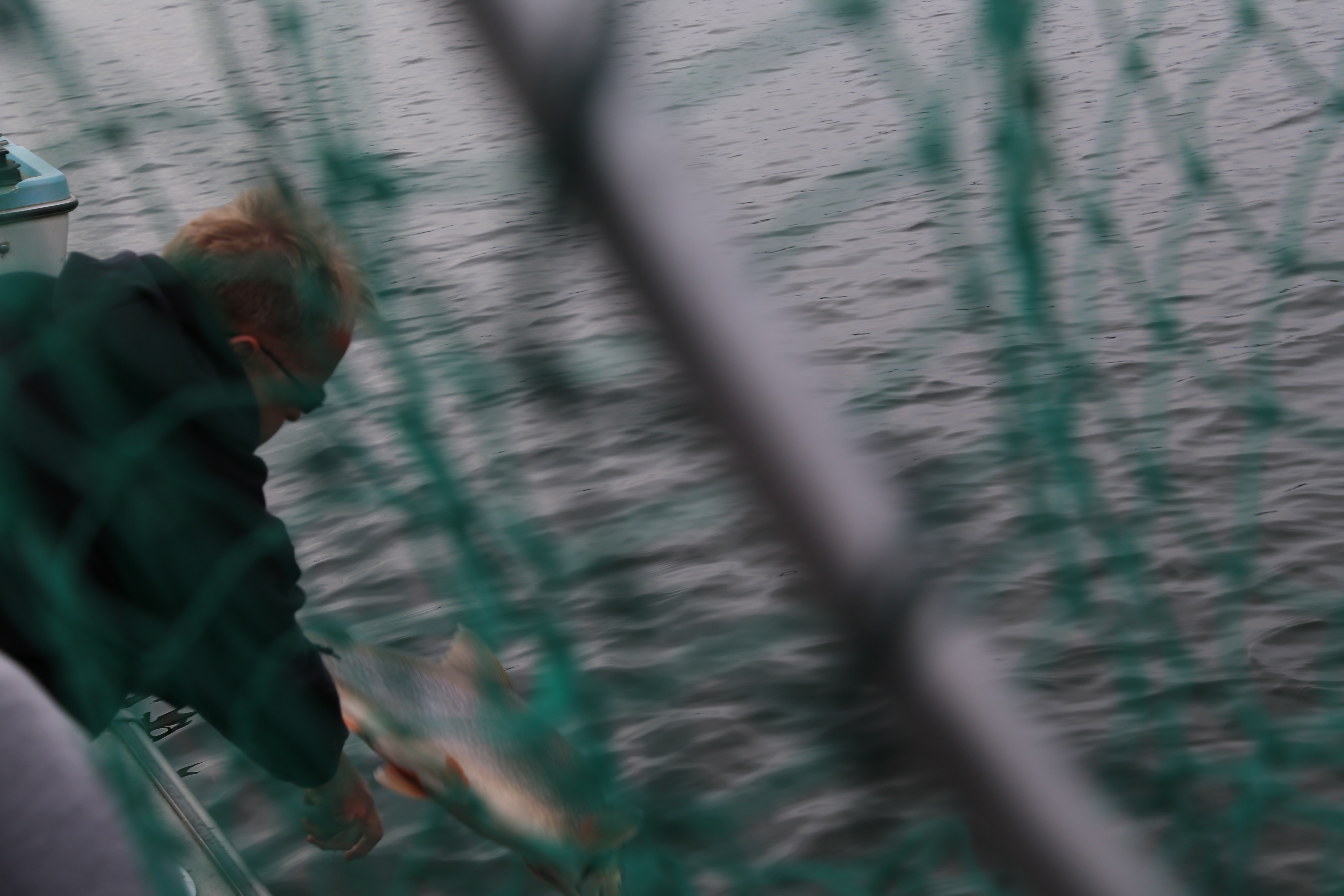 2015 Flaming Gorge Fishing Trip (Manila, Utah)
