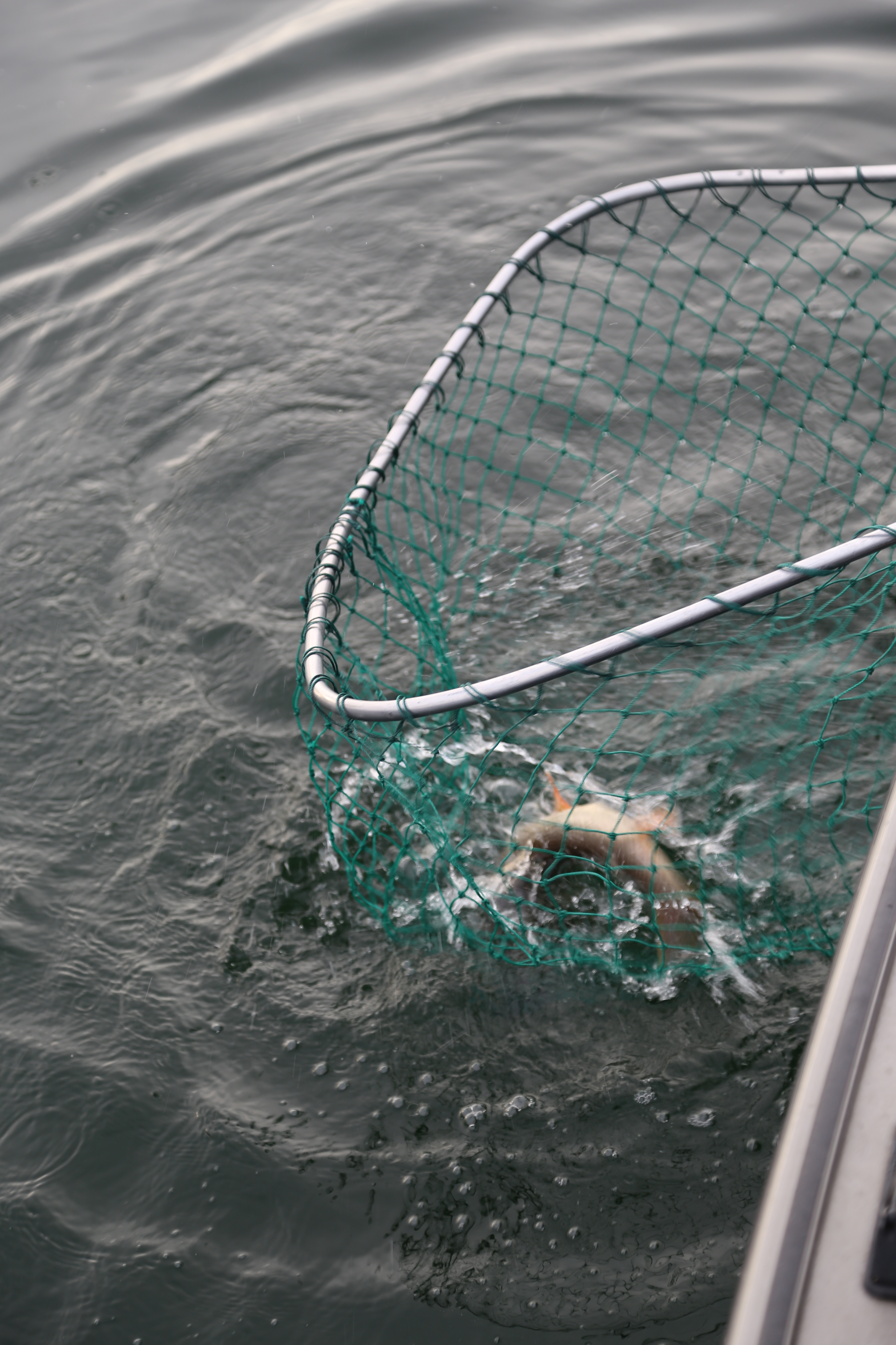 2015 Flaming Gorge Fishing Trip (Manila, Utah)