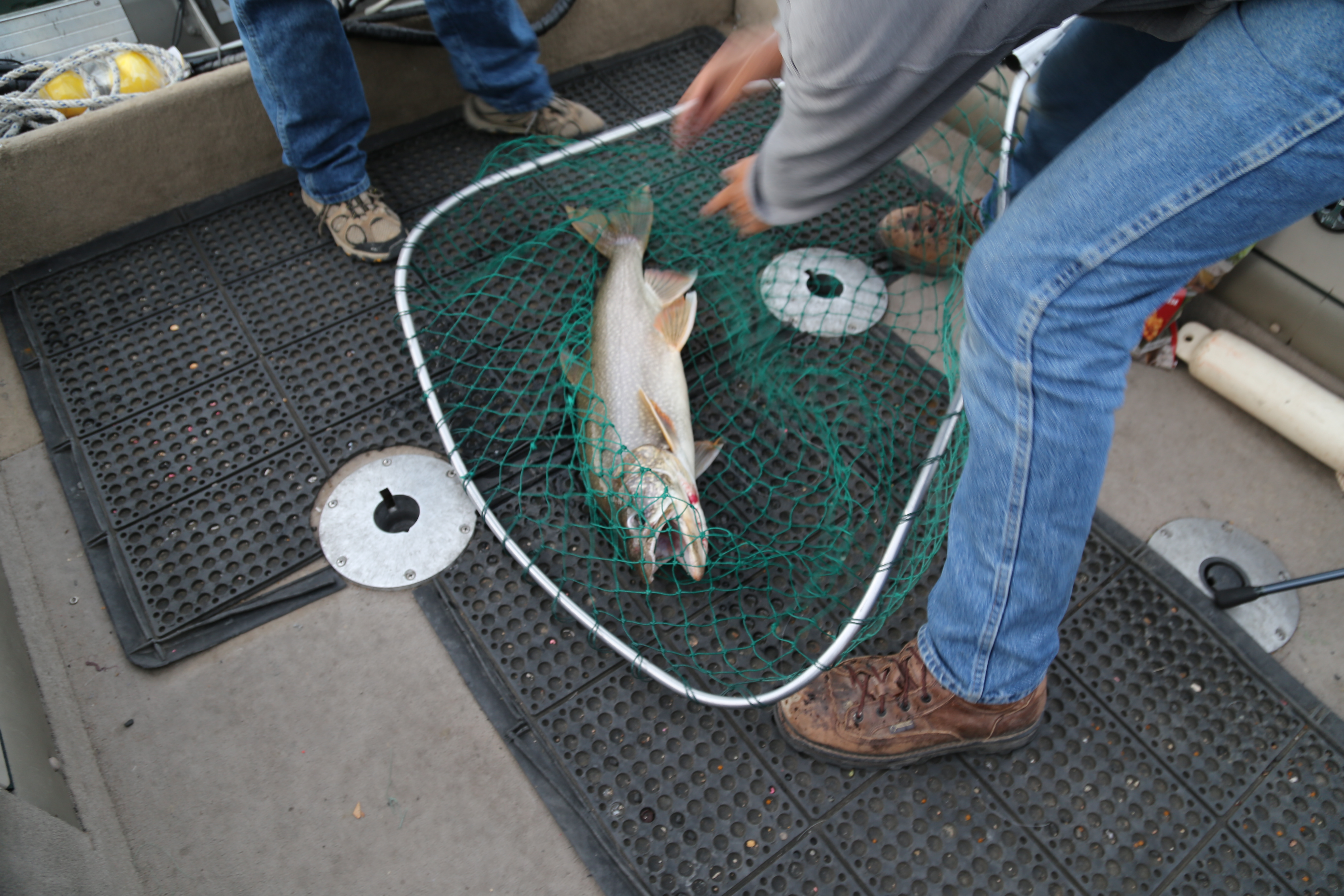 2015 Flaming Gorge Fishing Trip (Manila, Utah)