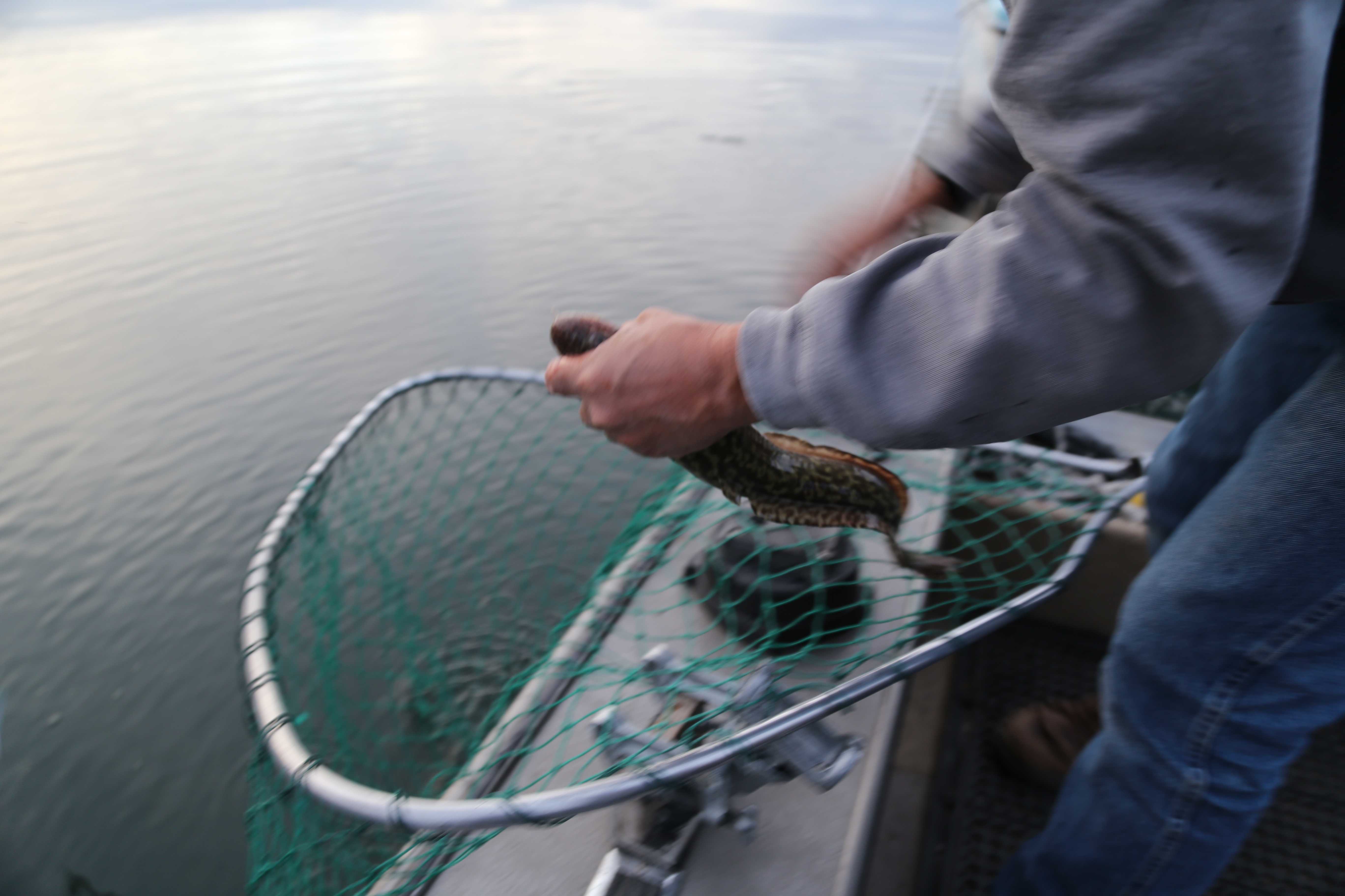 2015 Flaming Gorge Fishing Trip (Manila, Utah)
