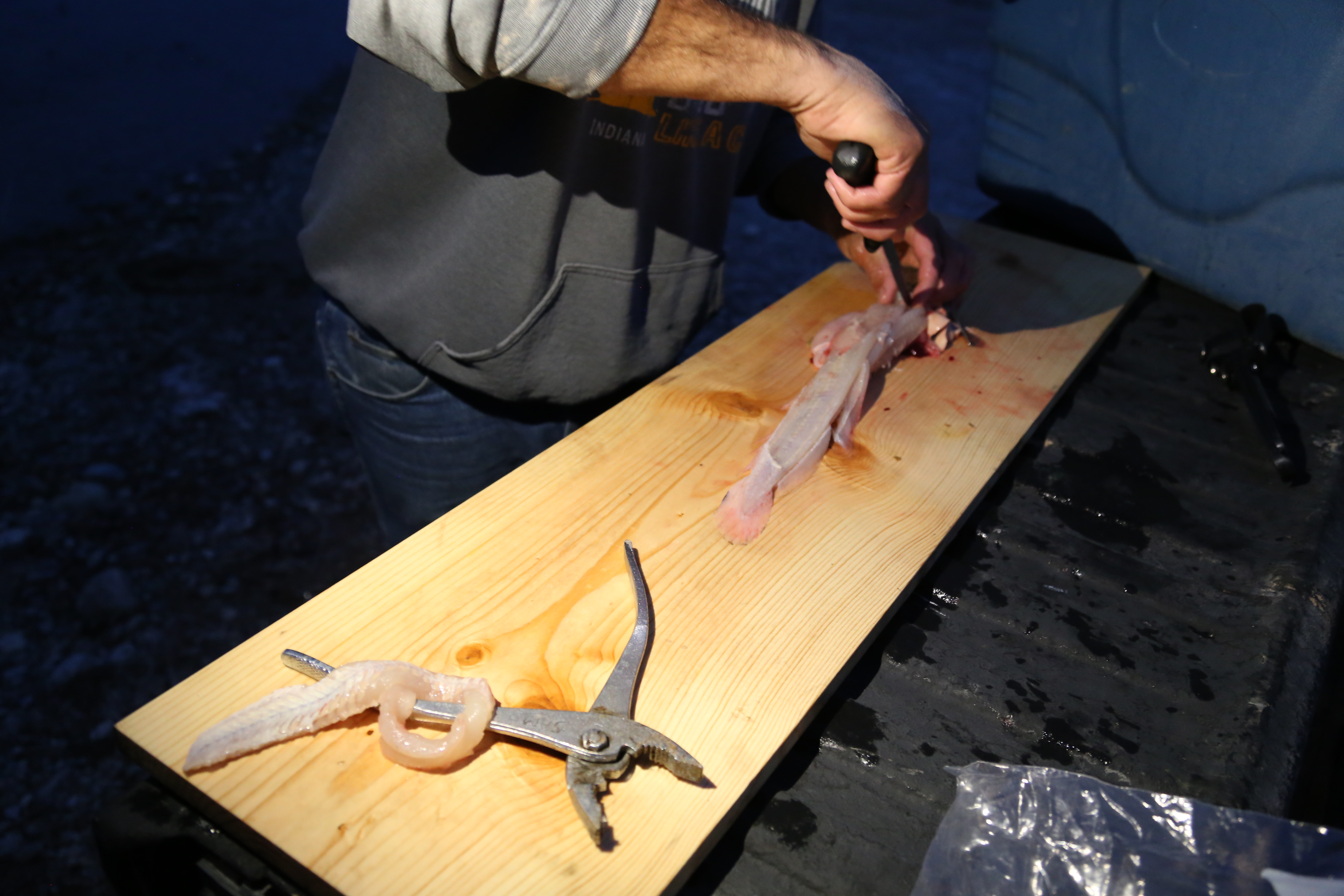 2015 Flaming Gorge Fishing Trip (Manila, Utah)