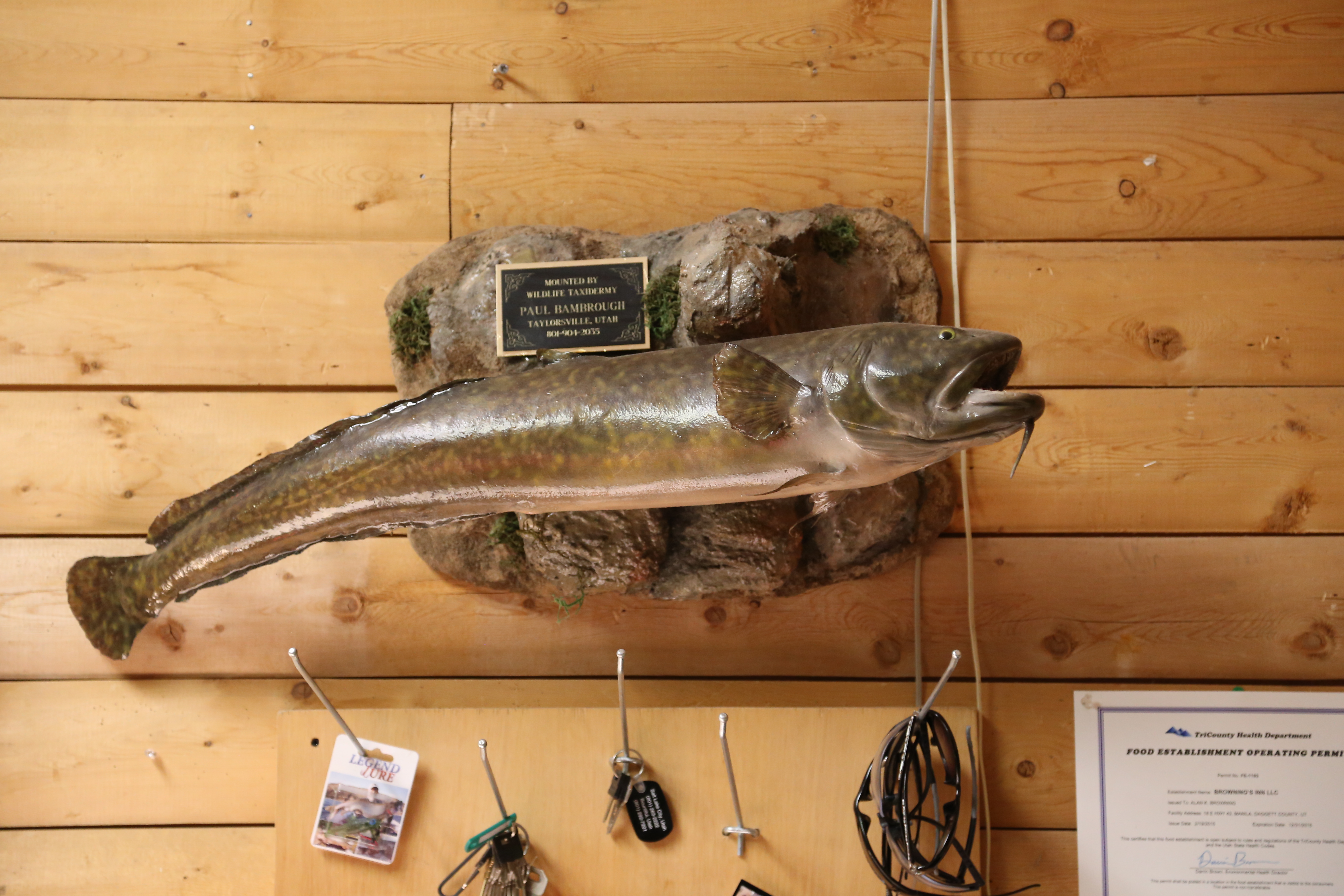 2015 Flaming Gorge Fishing Trip (Manila, Utah)
