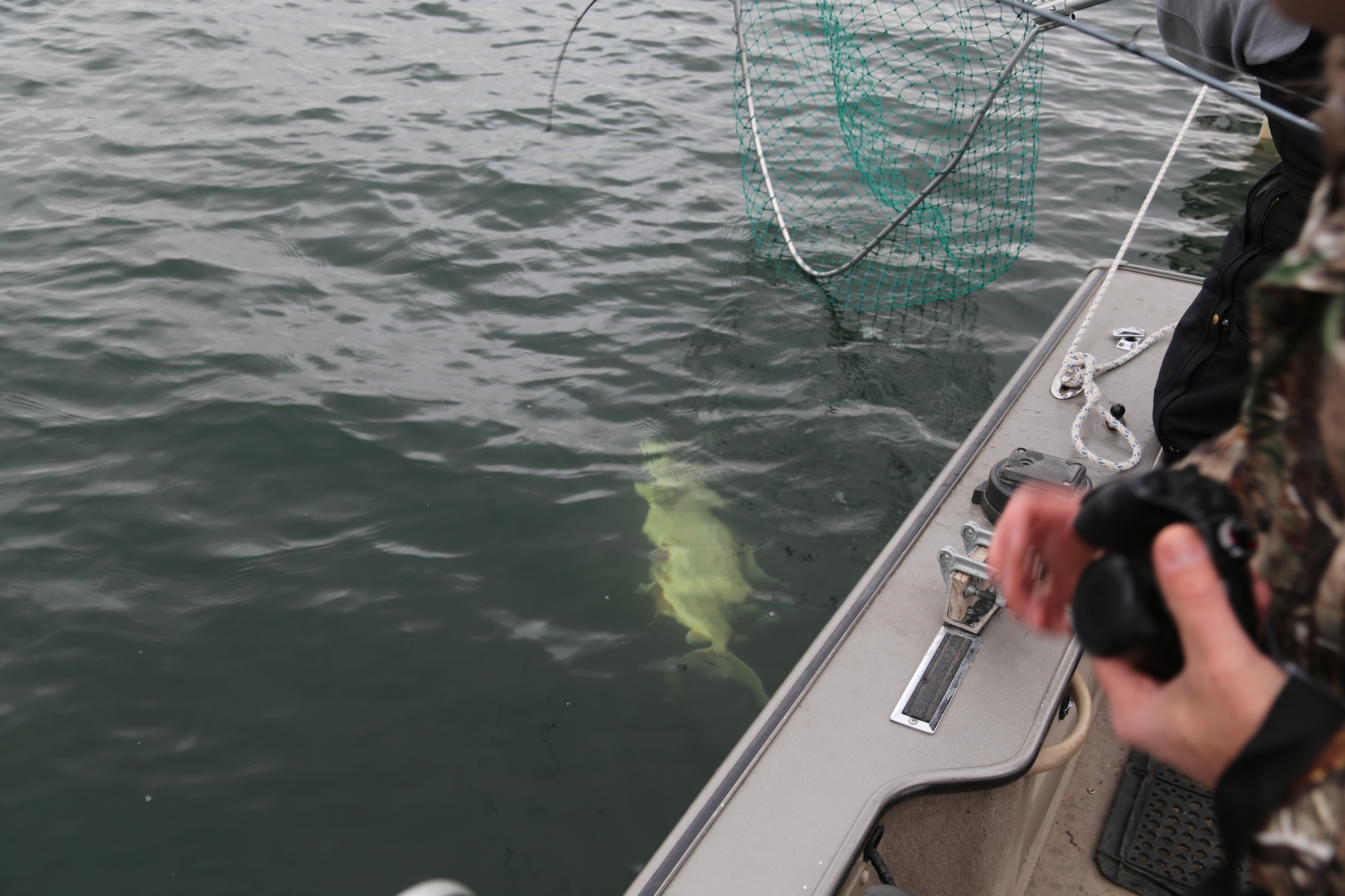 2015 Flaming Gorge Fishing Trip (Manila, Utah)