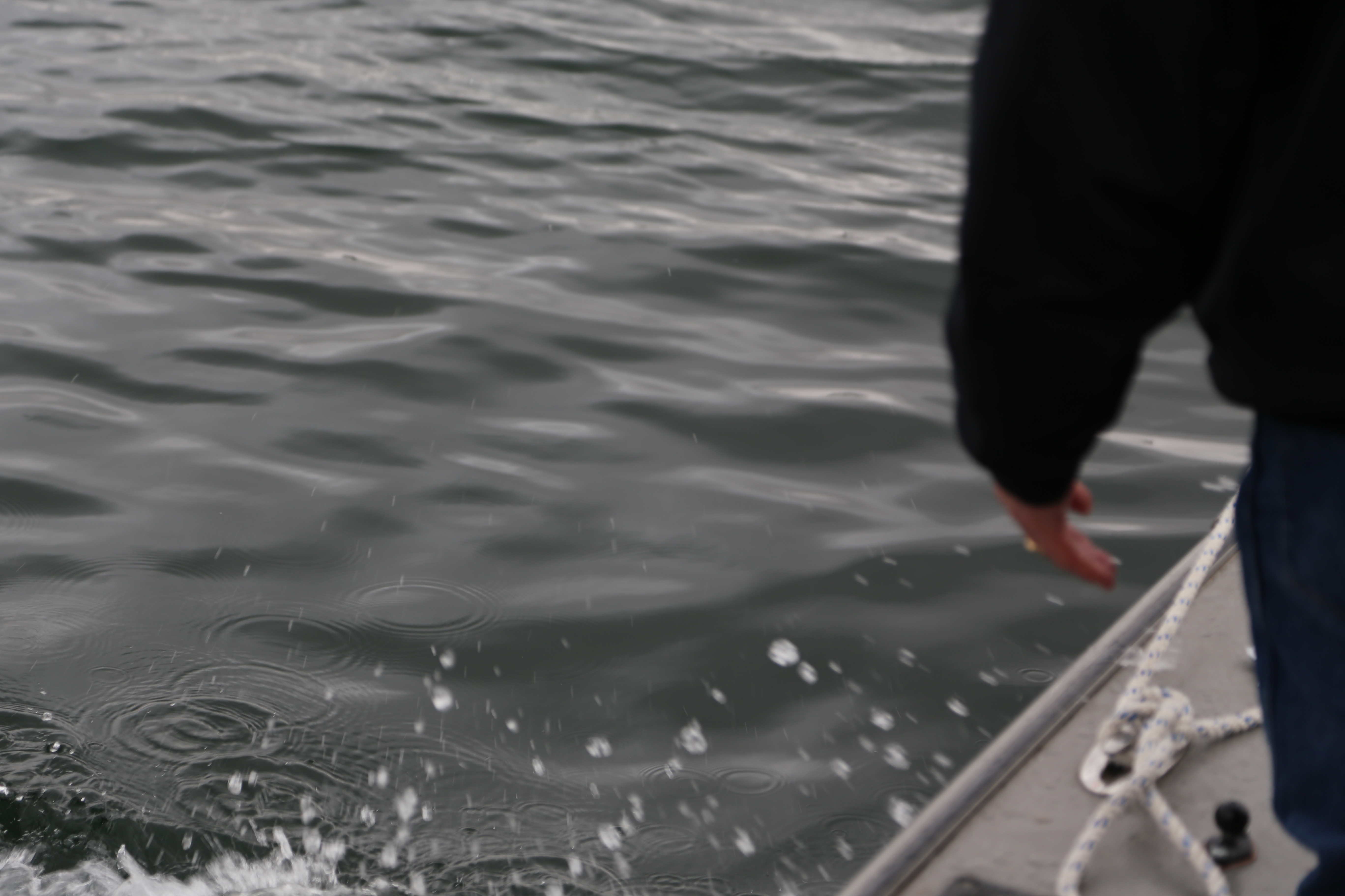 2015 Flaming Gorge Fishing Trip (Manila, Utah)