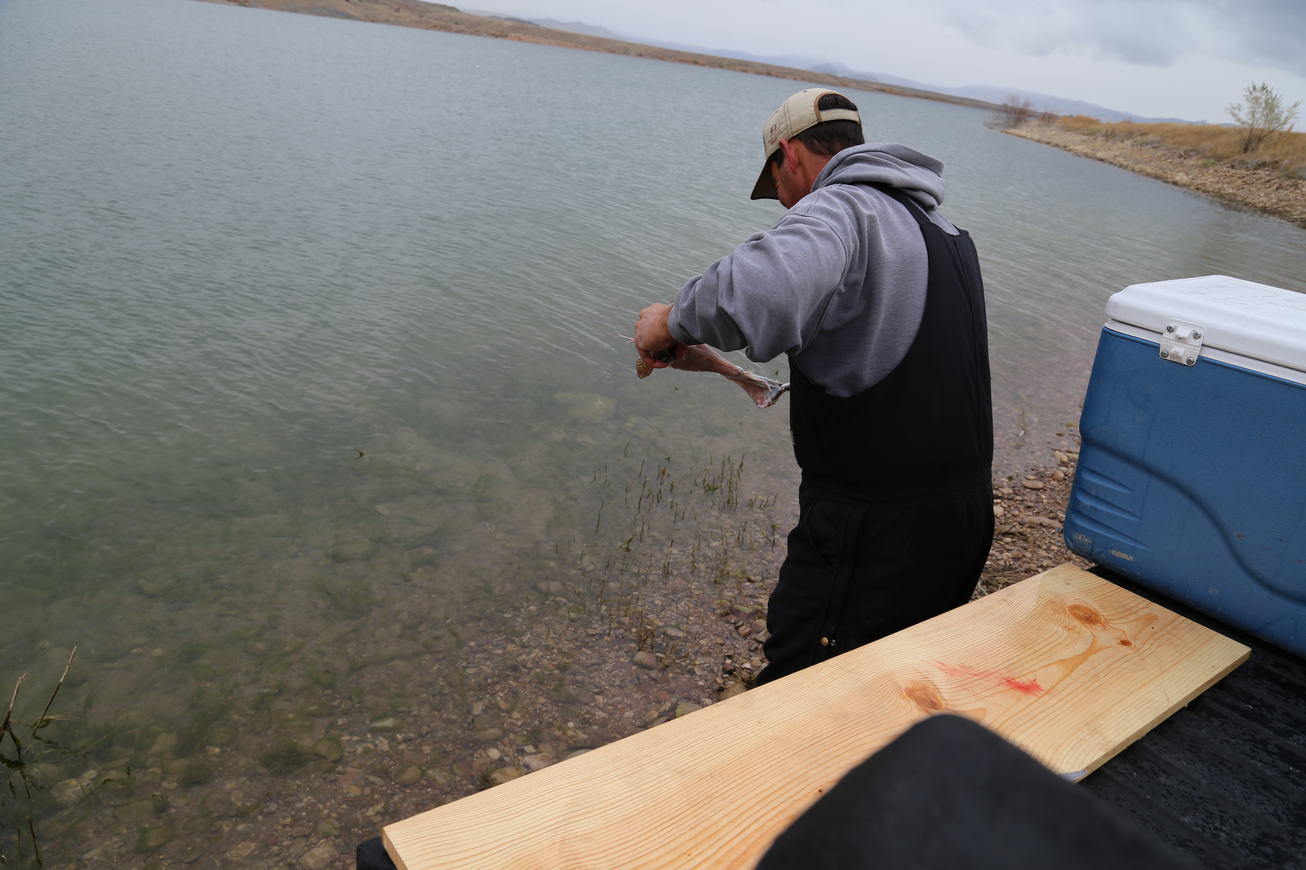 2015 Flaming Gorge Fishing Trip (Manila, Utah)