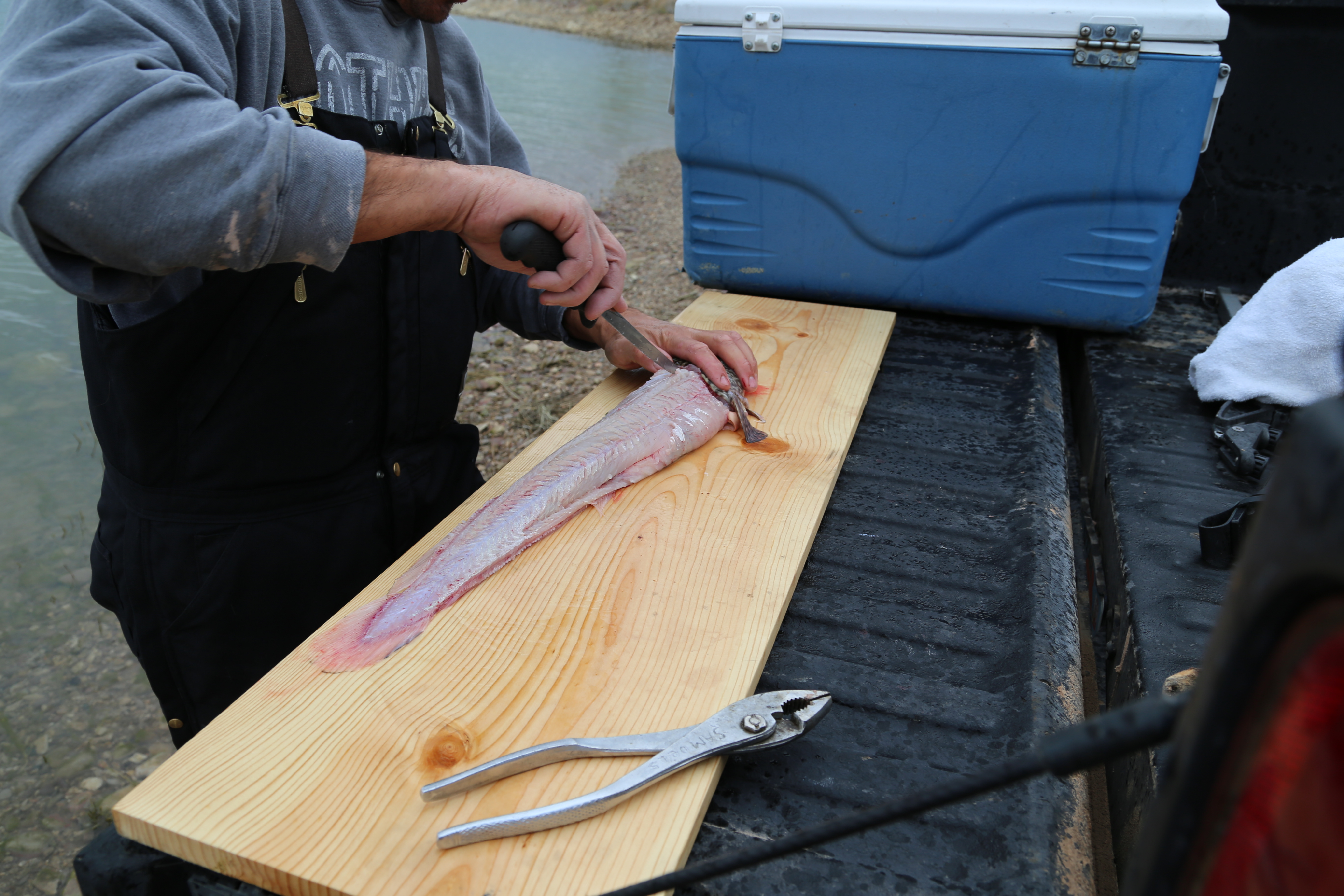 2015 Flaming Gorge Fishing Trip (Manila, Utah)