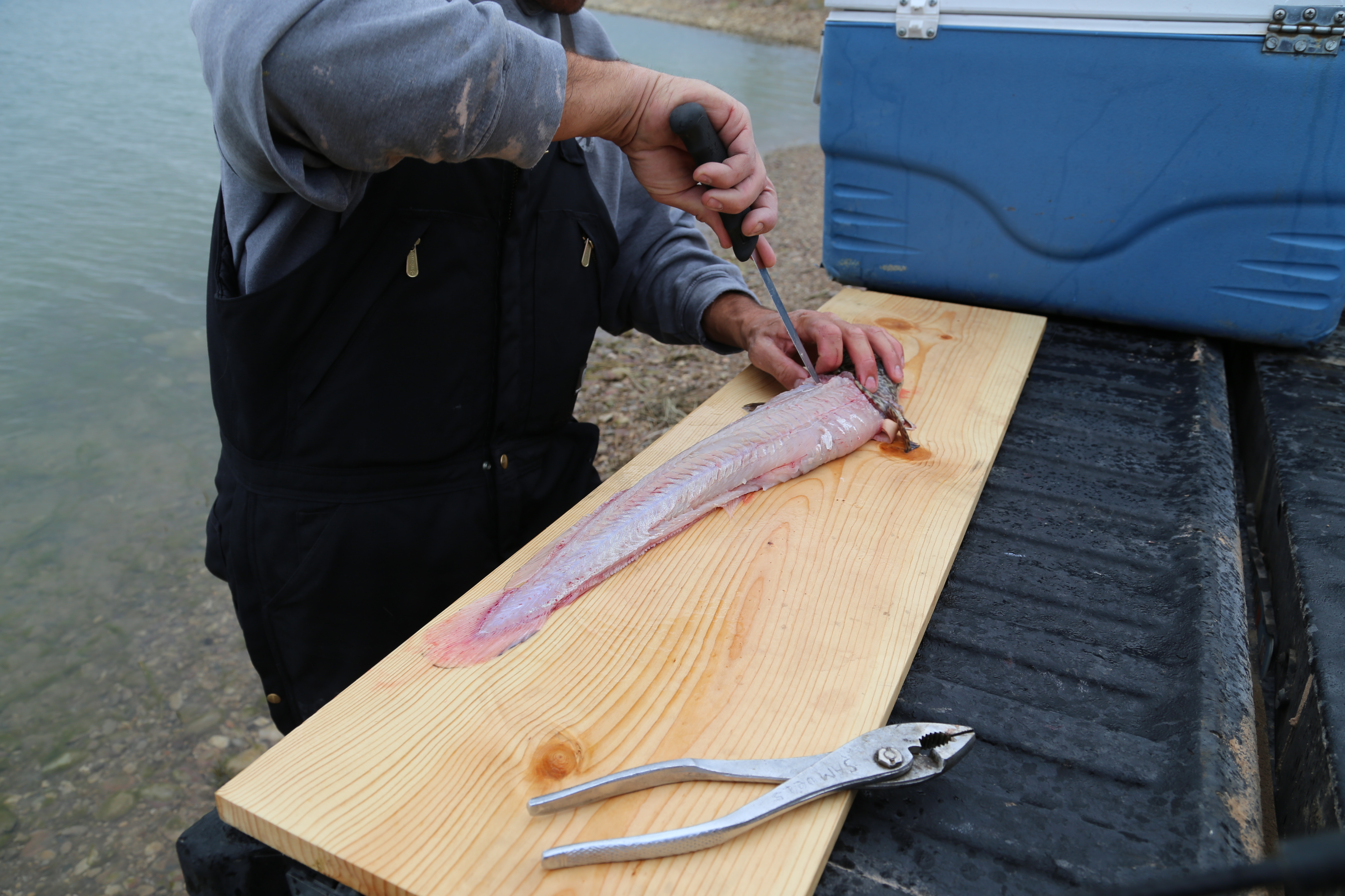 2015 Flaming Gorge Fishing Trip (Manila, Utah)