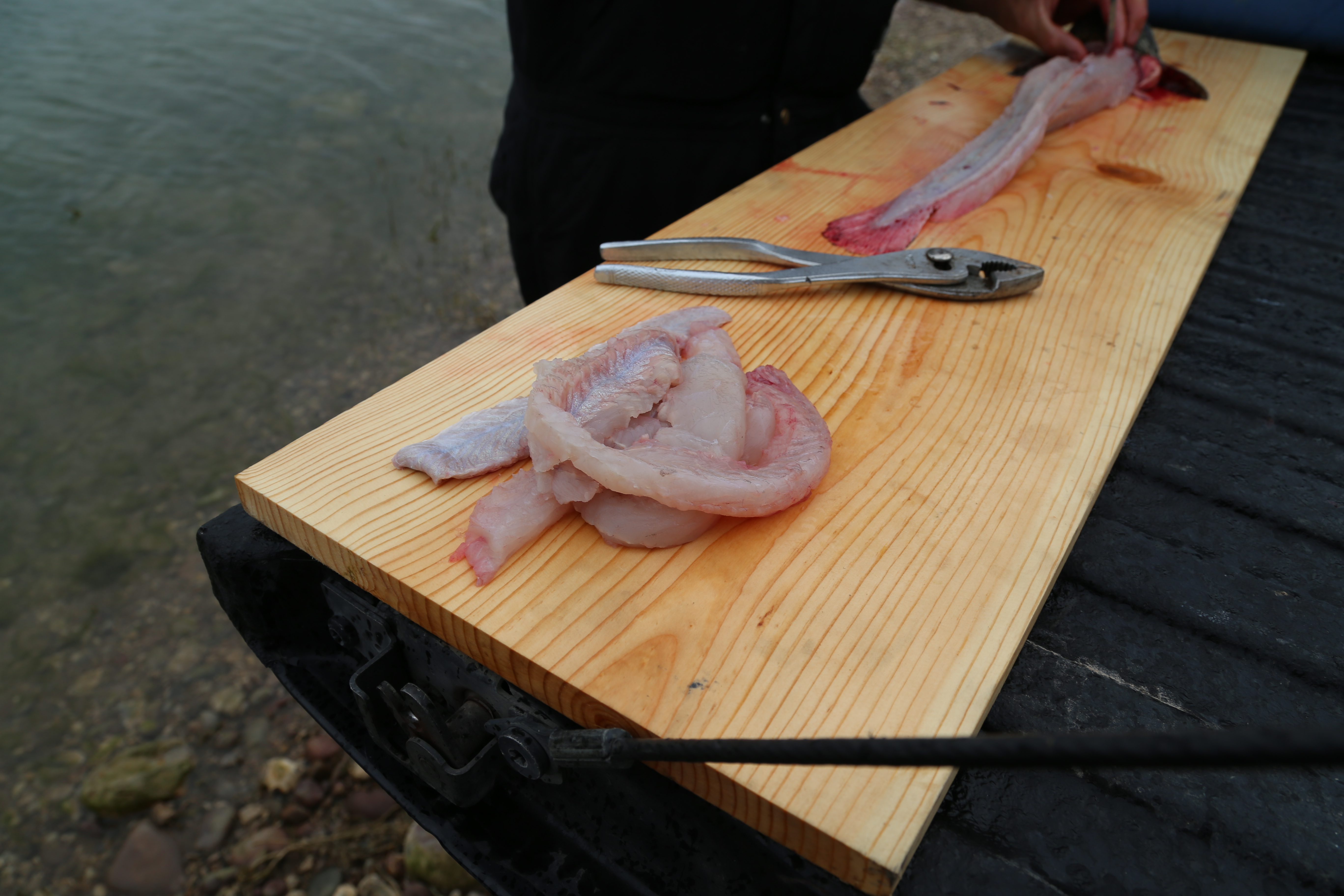 2015 Flaming Gorge Fishing Trip (Manila, Utah)