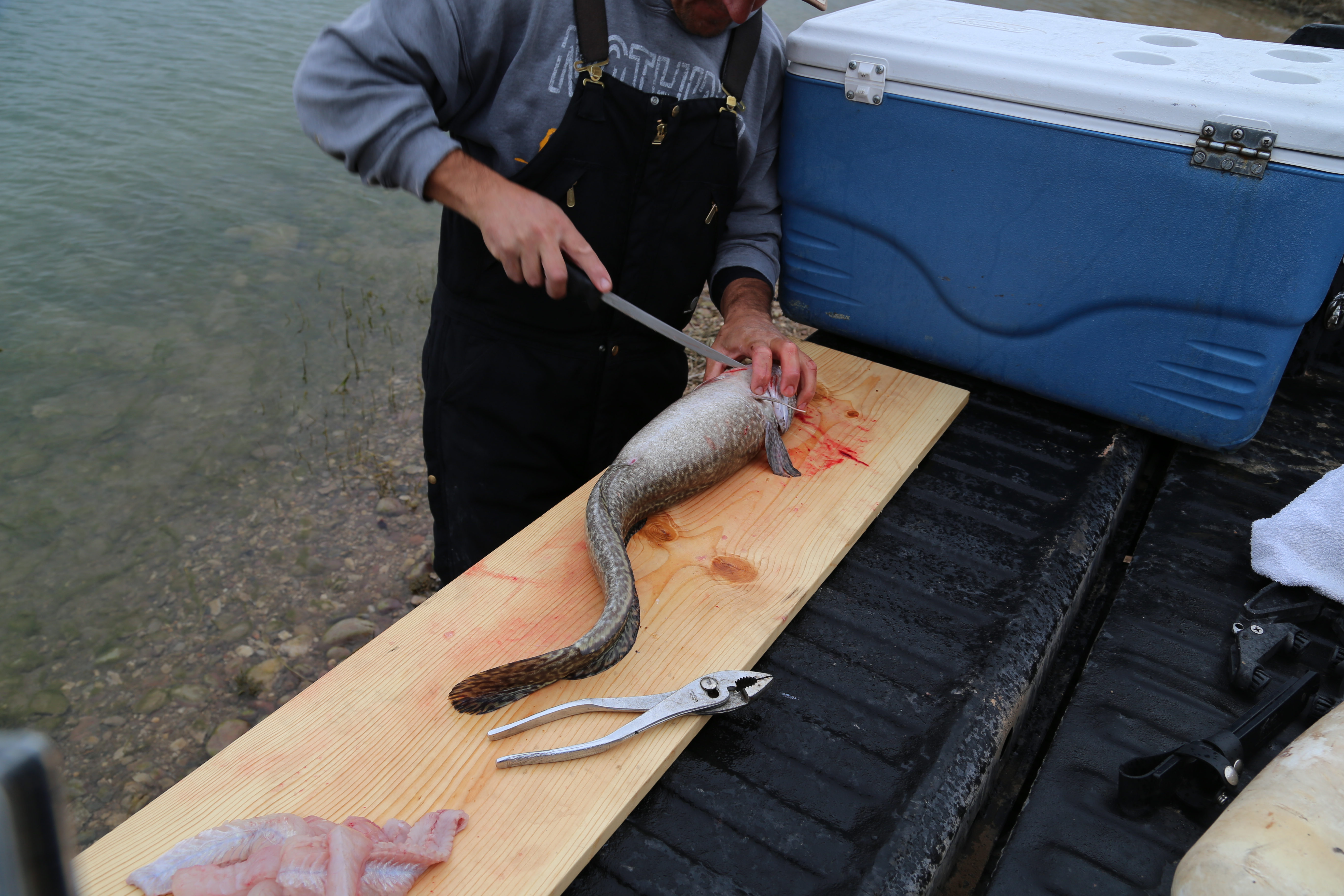2015 Flaming Gorge Fishing Trip (Manila, Utah)