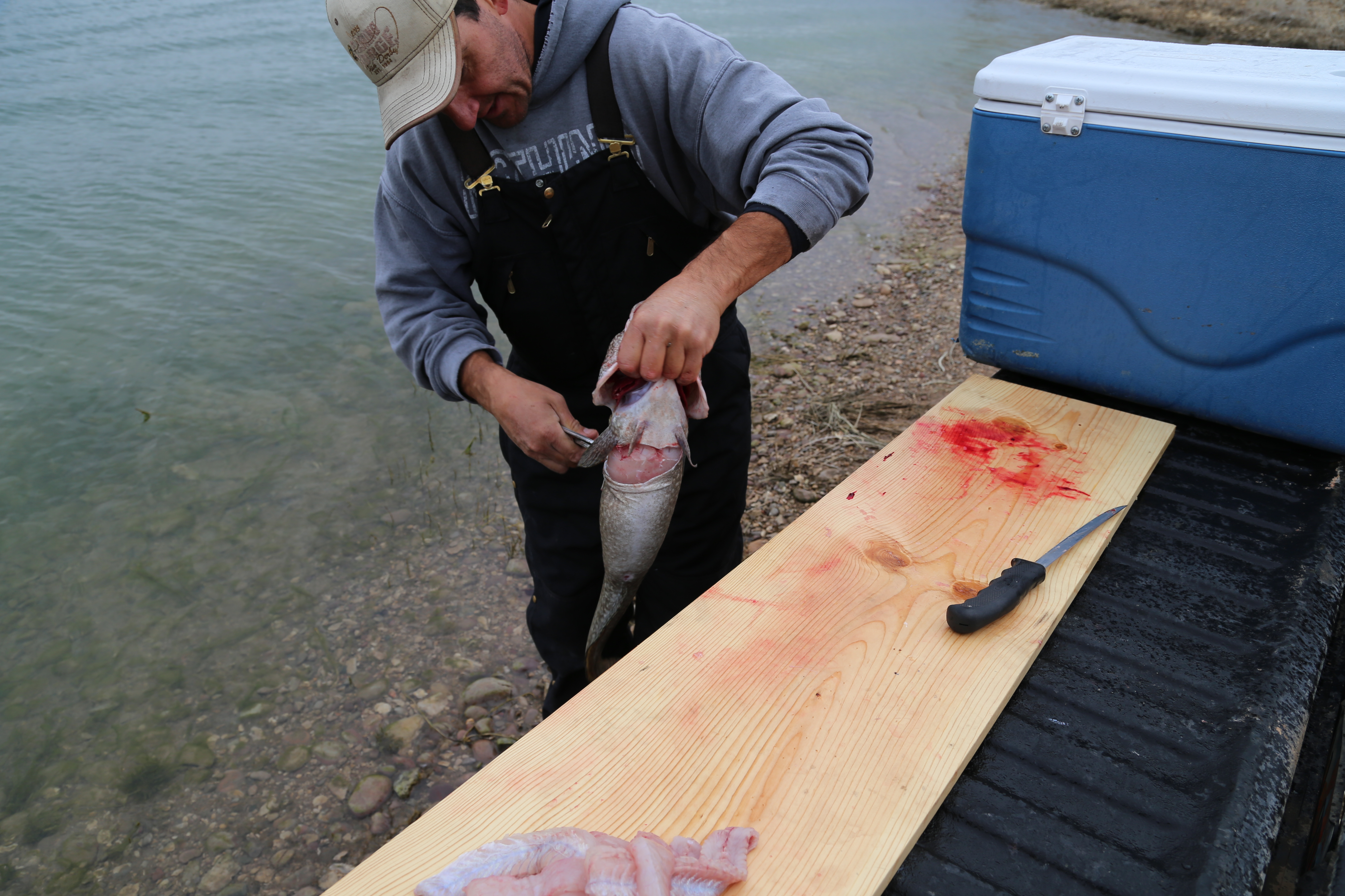 2015 Flaming Gorge Fishing Trip (Manila, Utah)