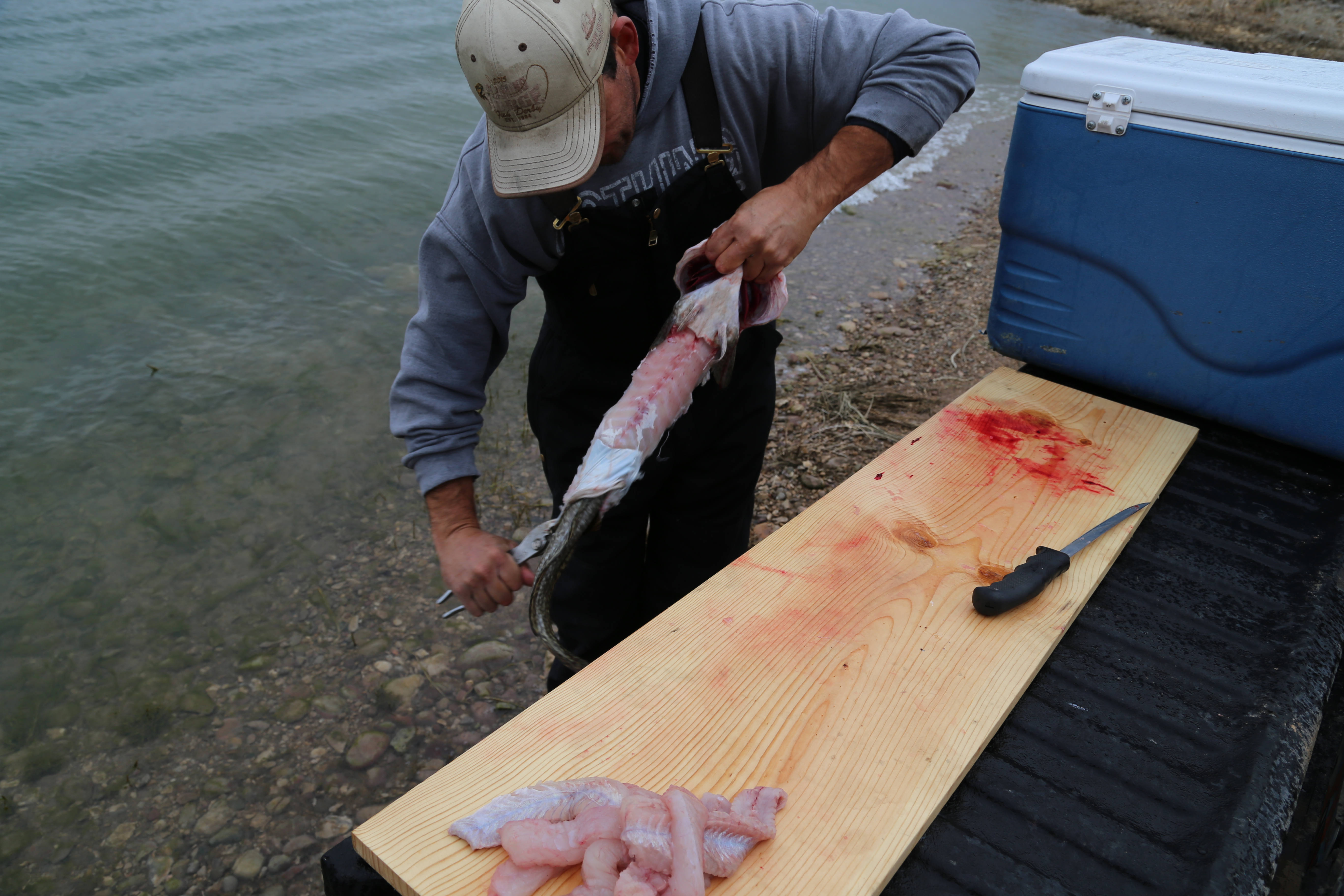 2015 Flaming Gorge Fishing Trip (Manila, Utah)