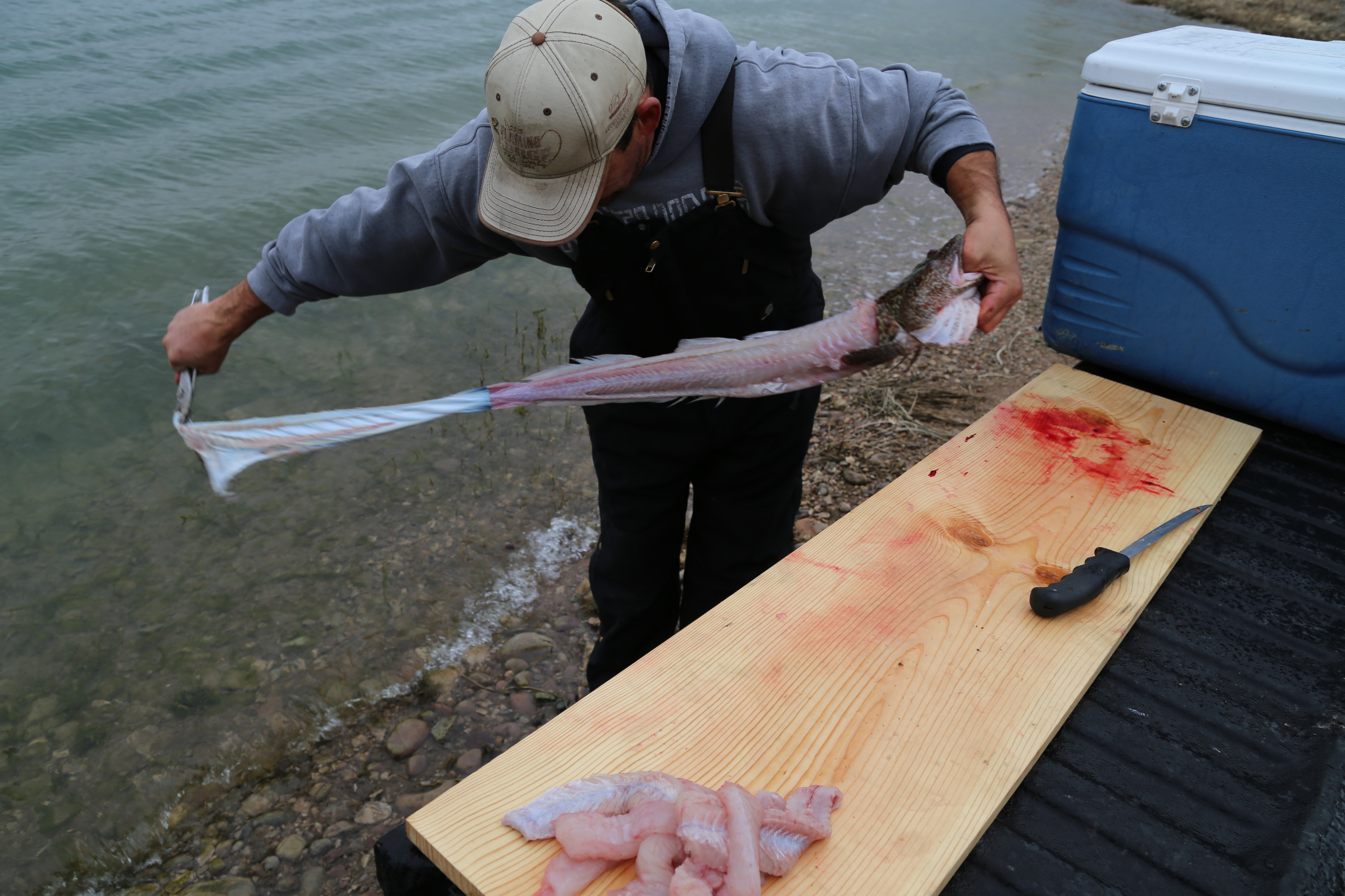 2015 Flaming Gorge Fishing Trip (Manila, Utah)