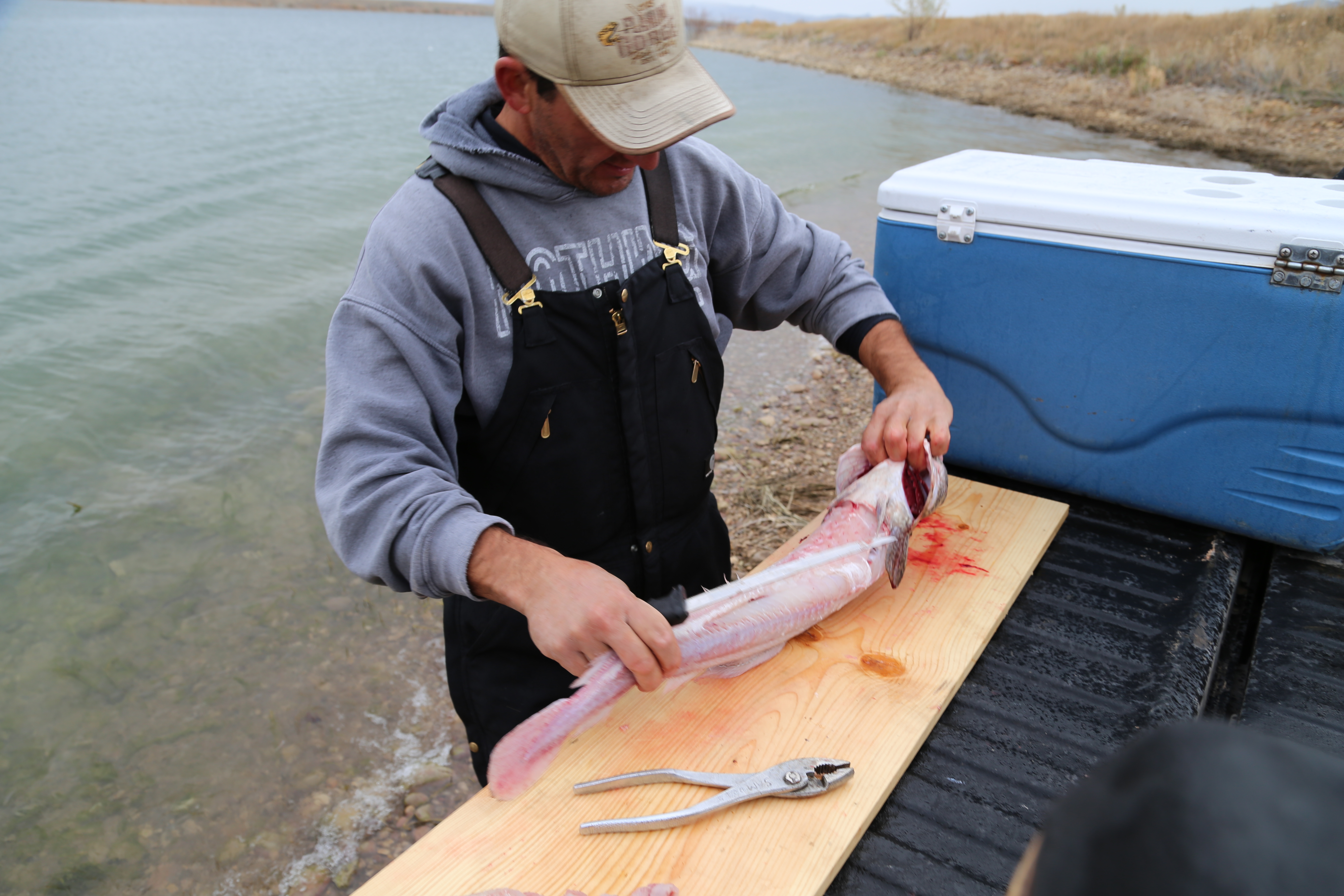 2015 Flaming Gorge Fishing Trip (Manila, Utah)