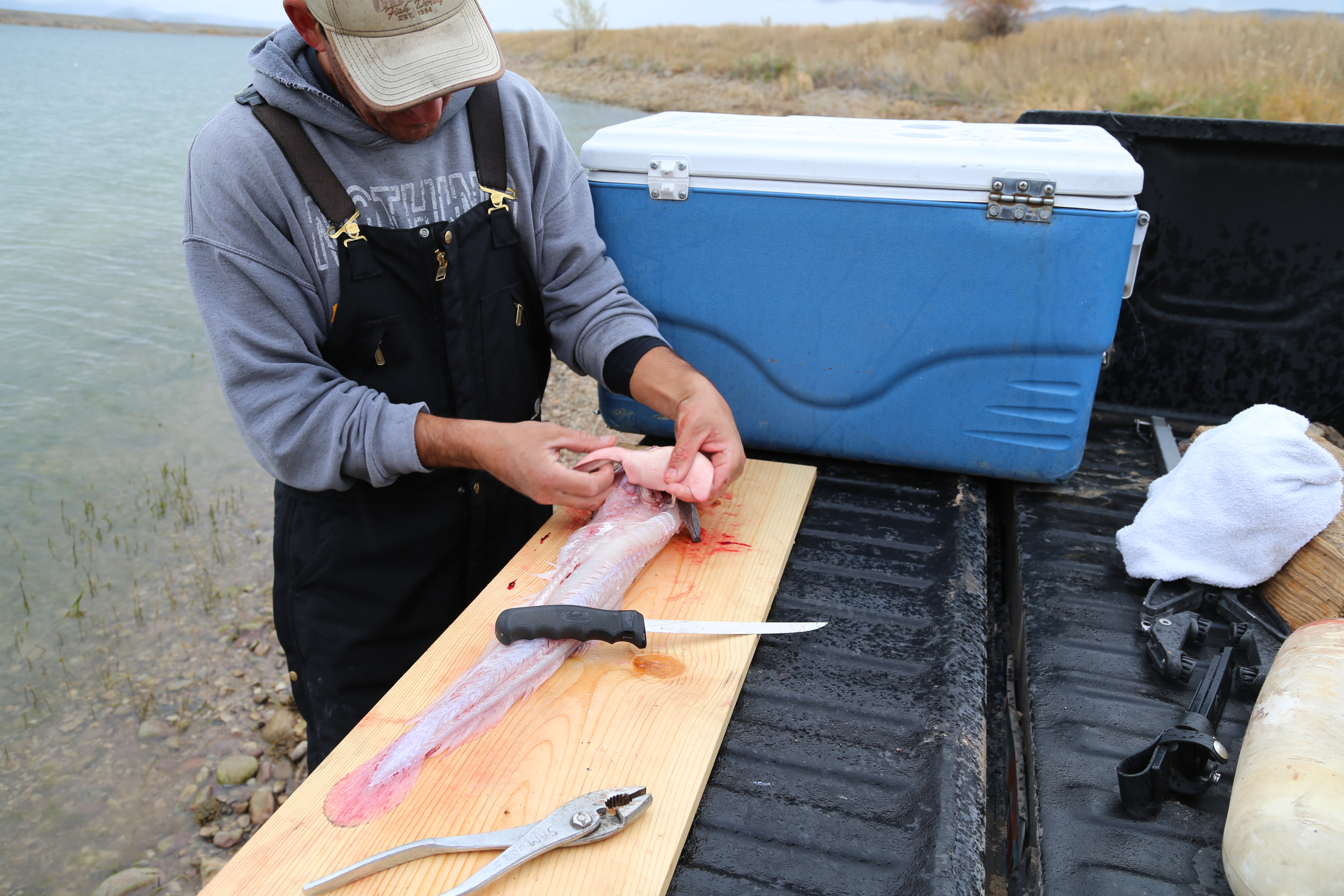2015 Flaming Gorge Fishing Trip (Manila, Utah)