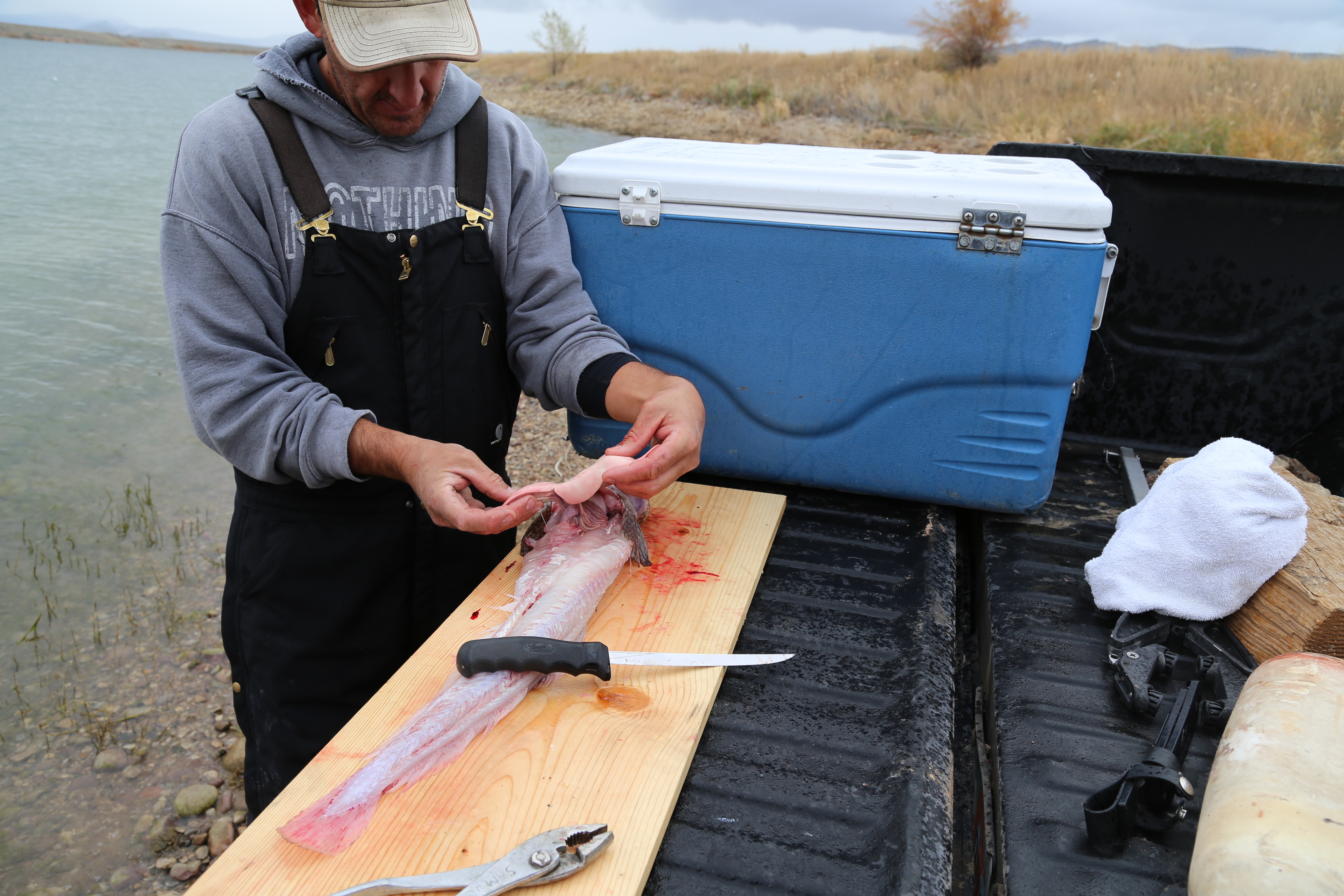2015 Flaming Gorge Fishing Trip (Manila, Utah)
