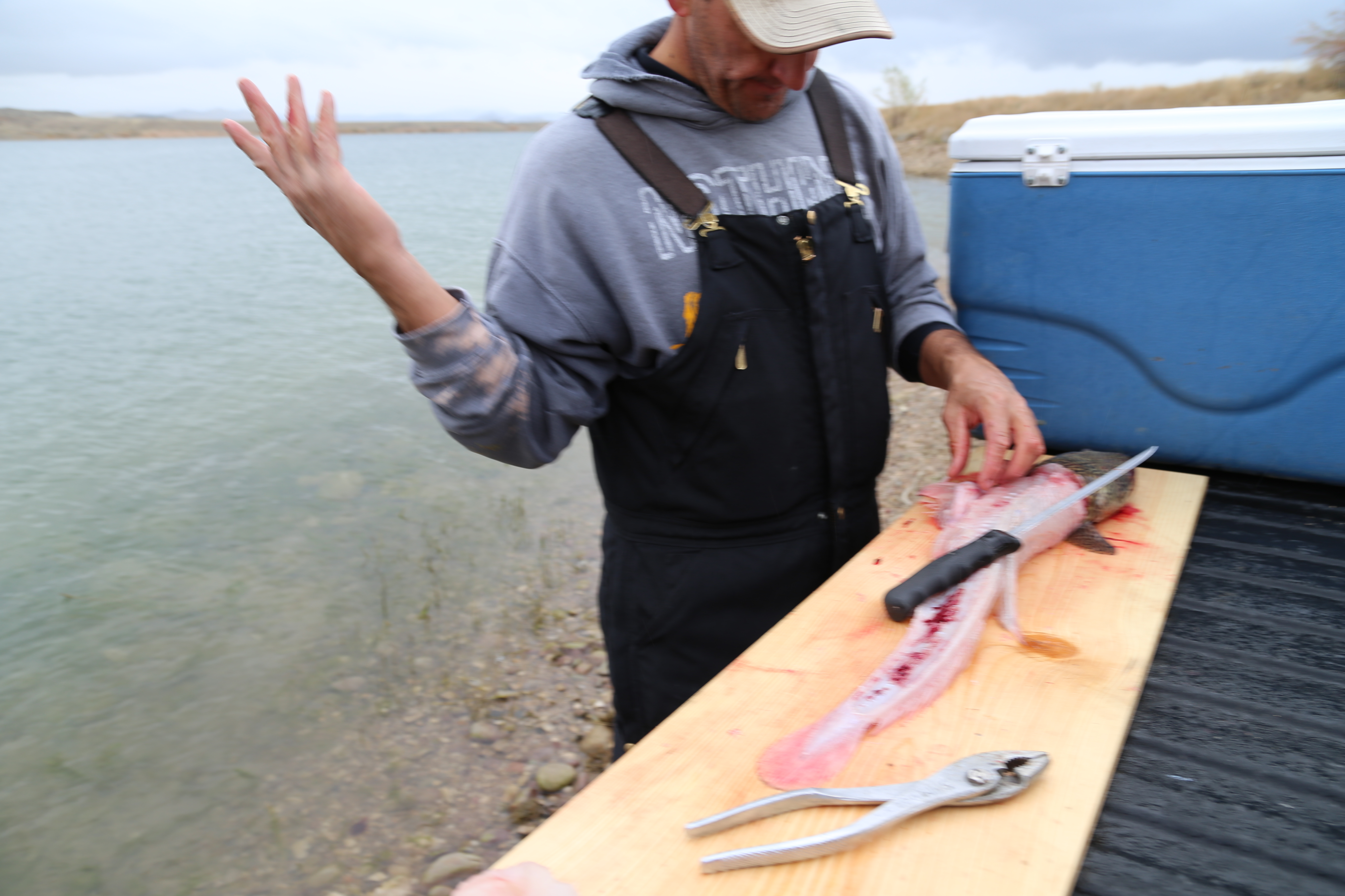 2015 Flaming Gorge Fishing Trip (Manila, Utah)